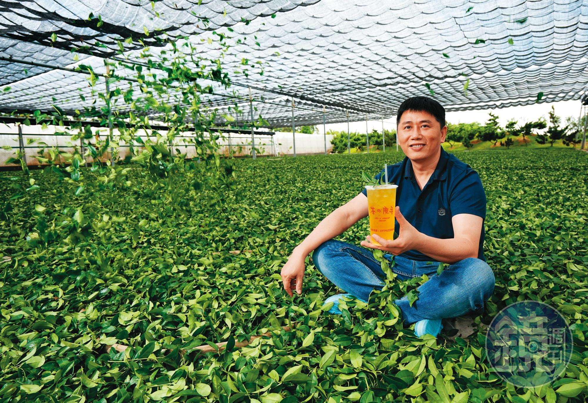 王賢明16歲就創業賣茶,後自建茶廠、物流到銷售一條龍供應鏈,被稱為「茶飲南霸天」。