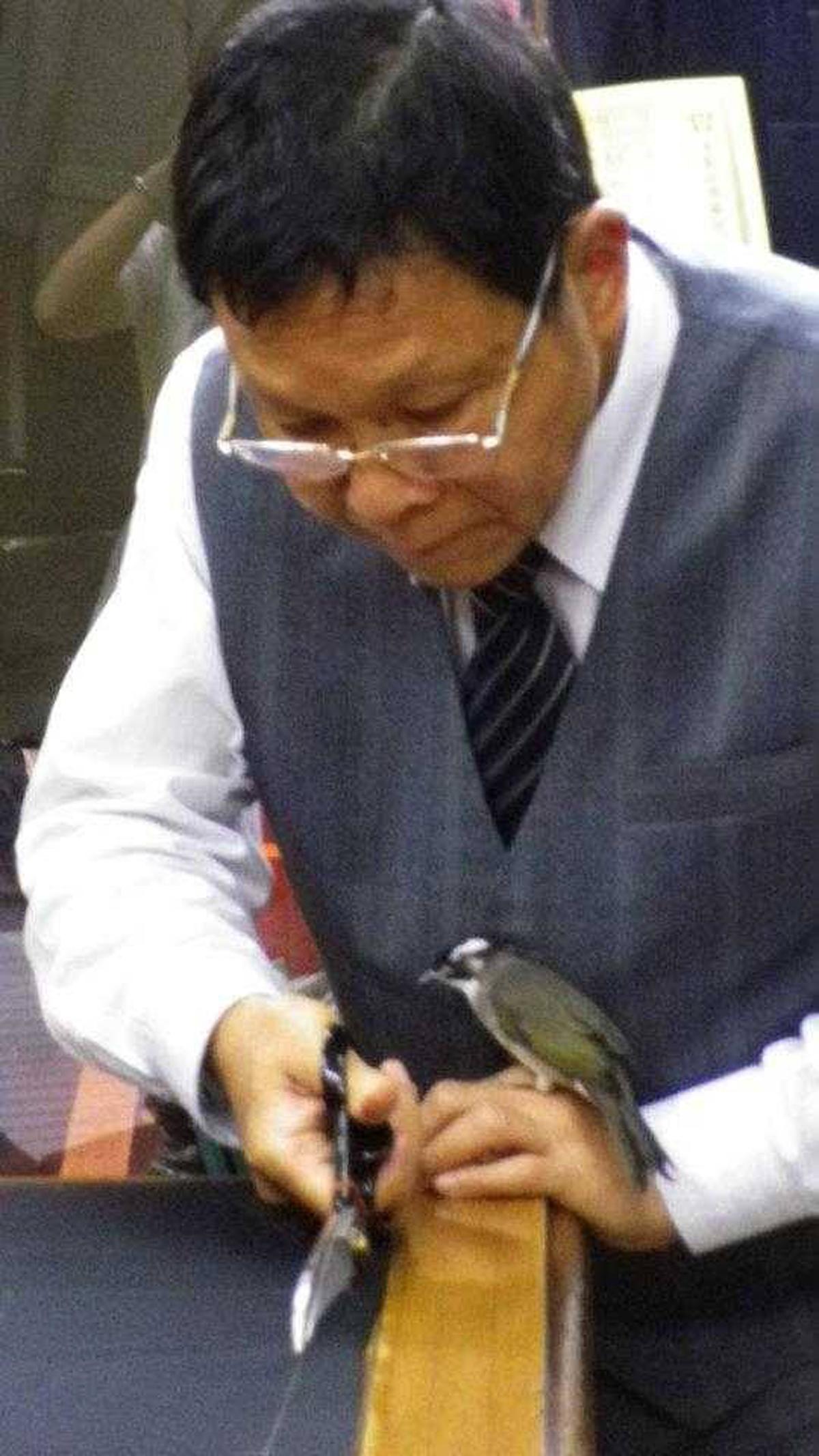 呂銘置做西服五十多年，豐富經驗讓他無須打板就可以在布料上直接作業。（呂紹白提供）