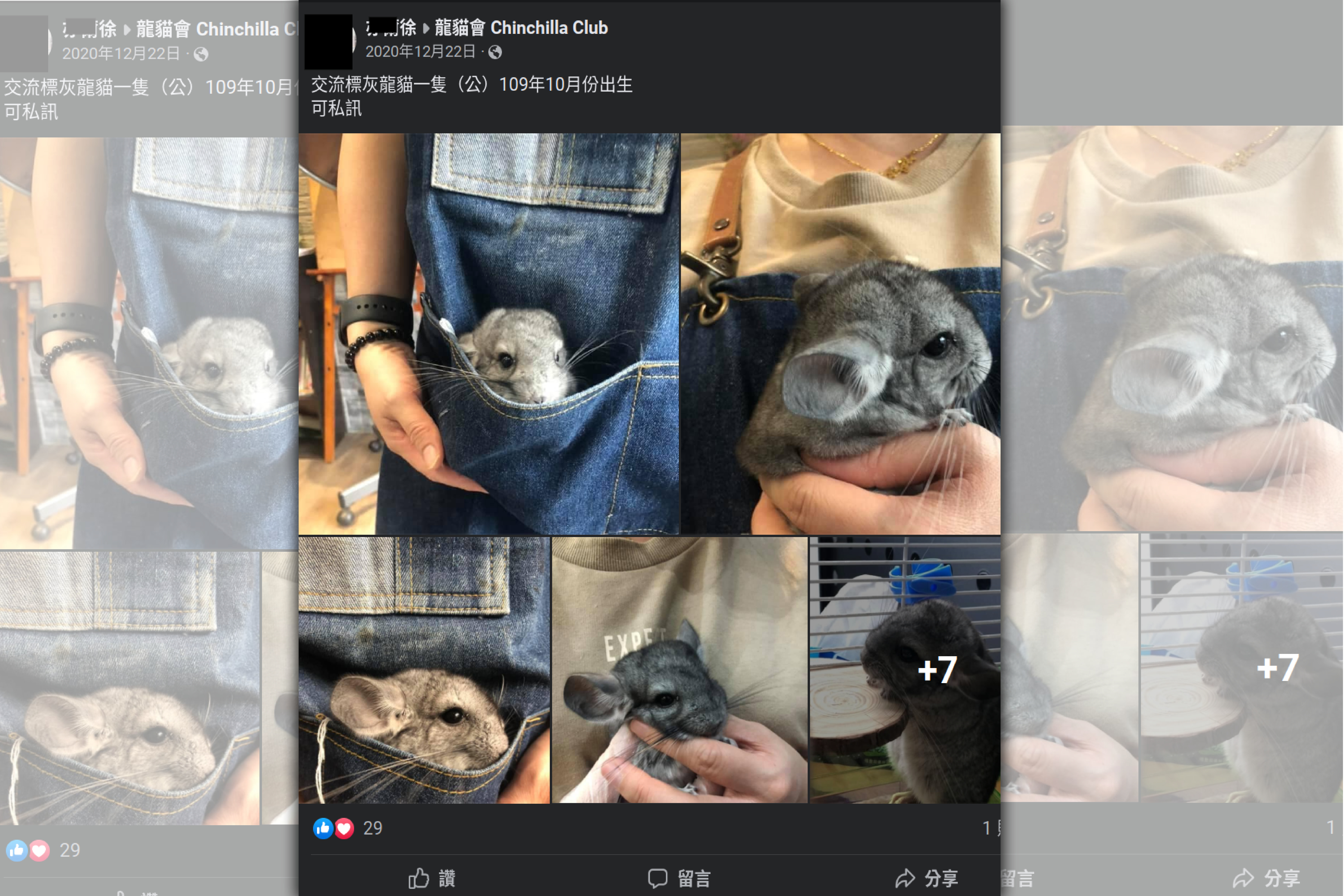 遭控霸凌柯姓員警的徐姓小隊長，在網路上私自販售寵物龍貓。（讀者提供）