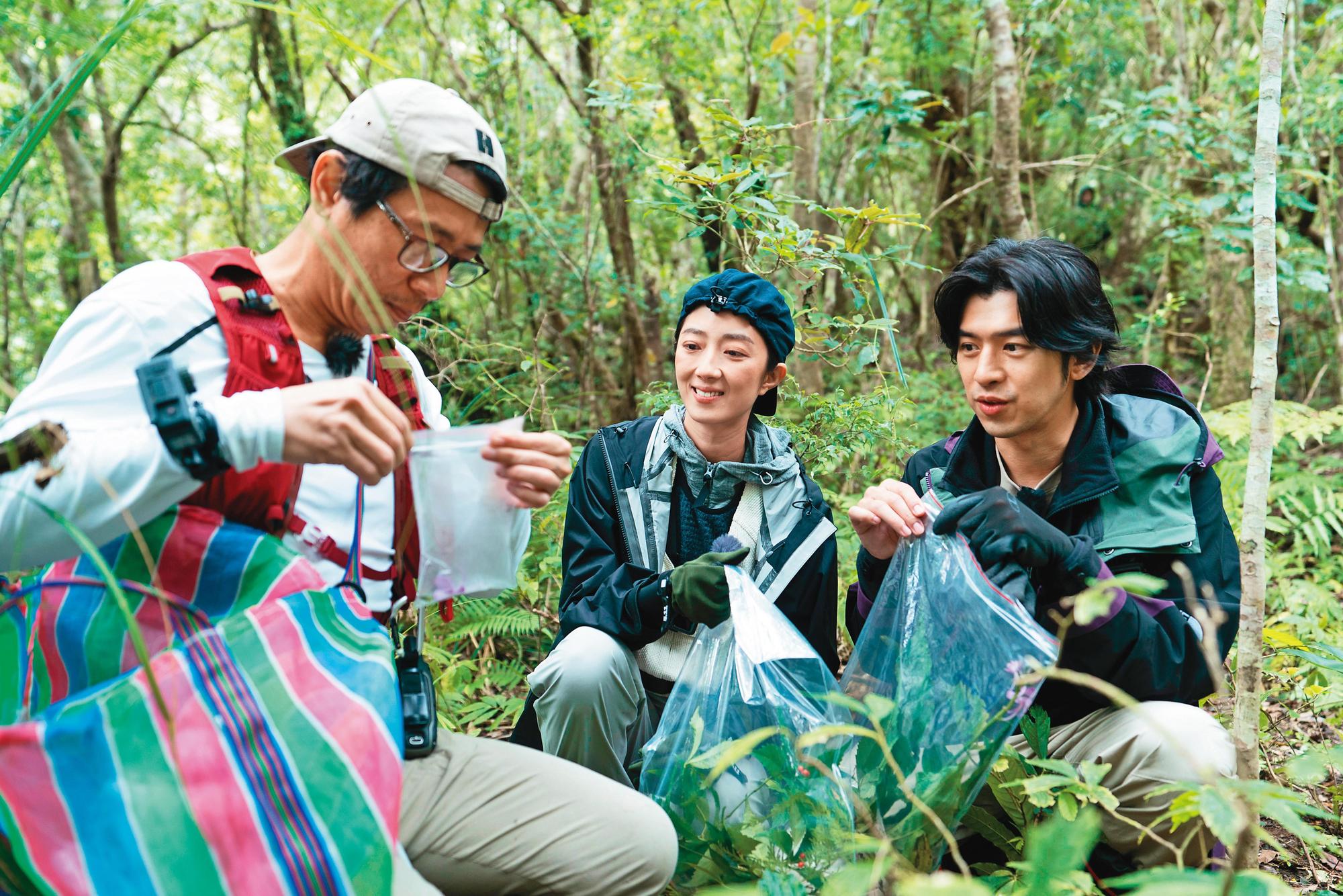 植物獵人洪信介(左起)為桂綸鎂、陳柏霖介紹採集的植物。(LINE TV提供)