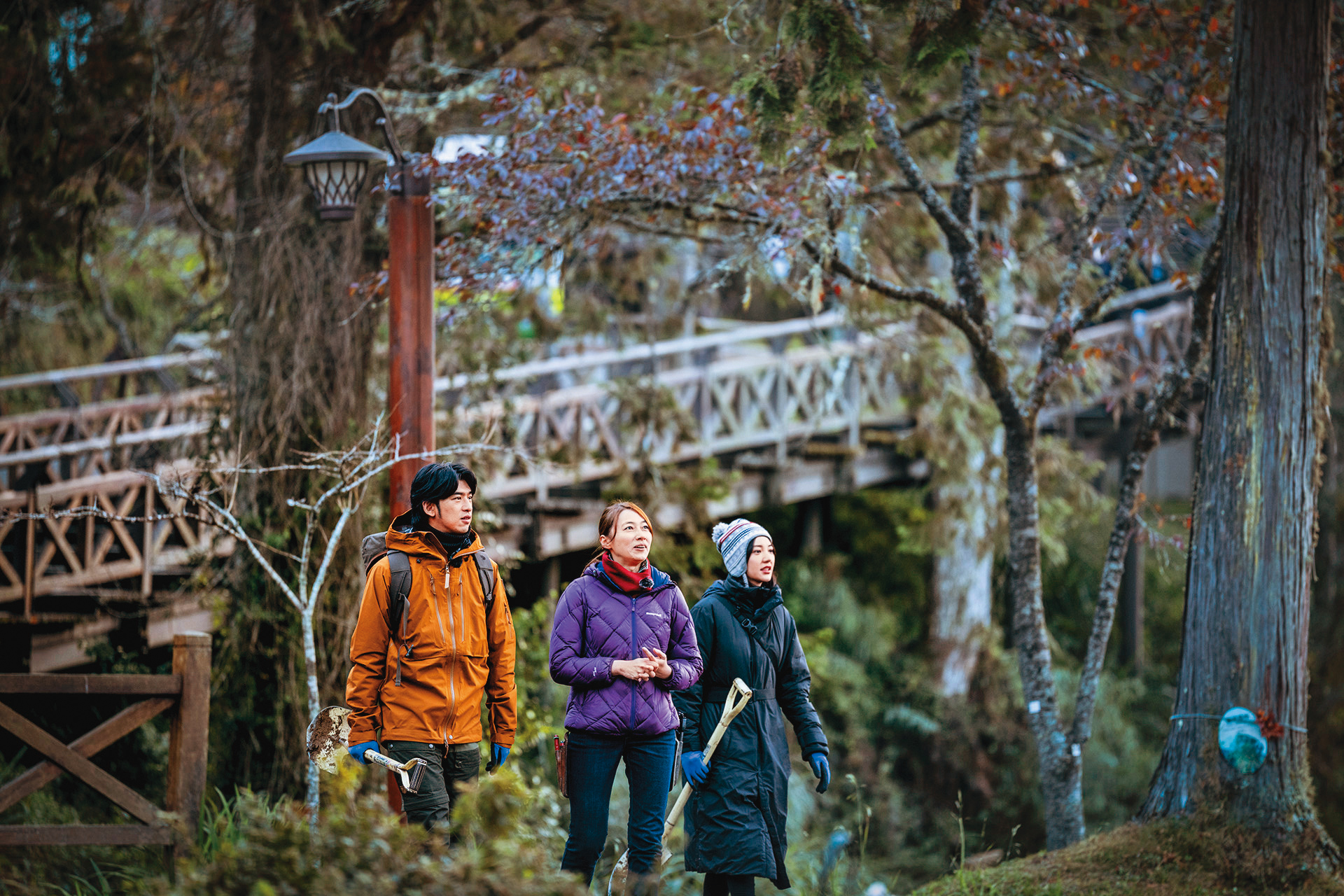 陳柏霖(左)、郭雪芙(右)陪同樹木醫生詹鳳春(中),到阿里山醫治百年櫻花樹。(LINE TV提供)