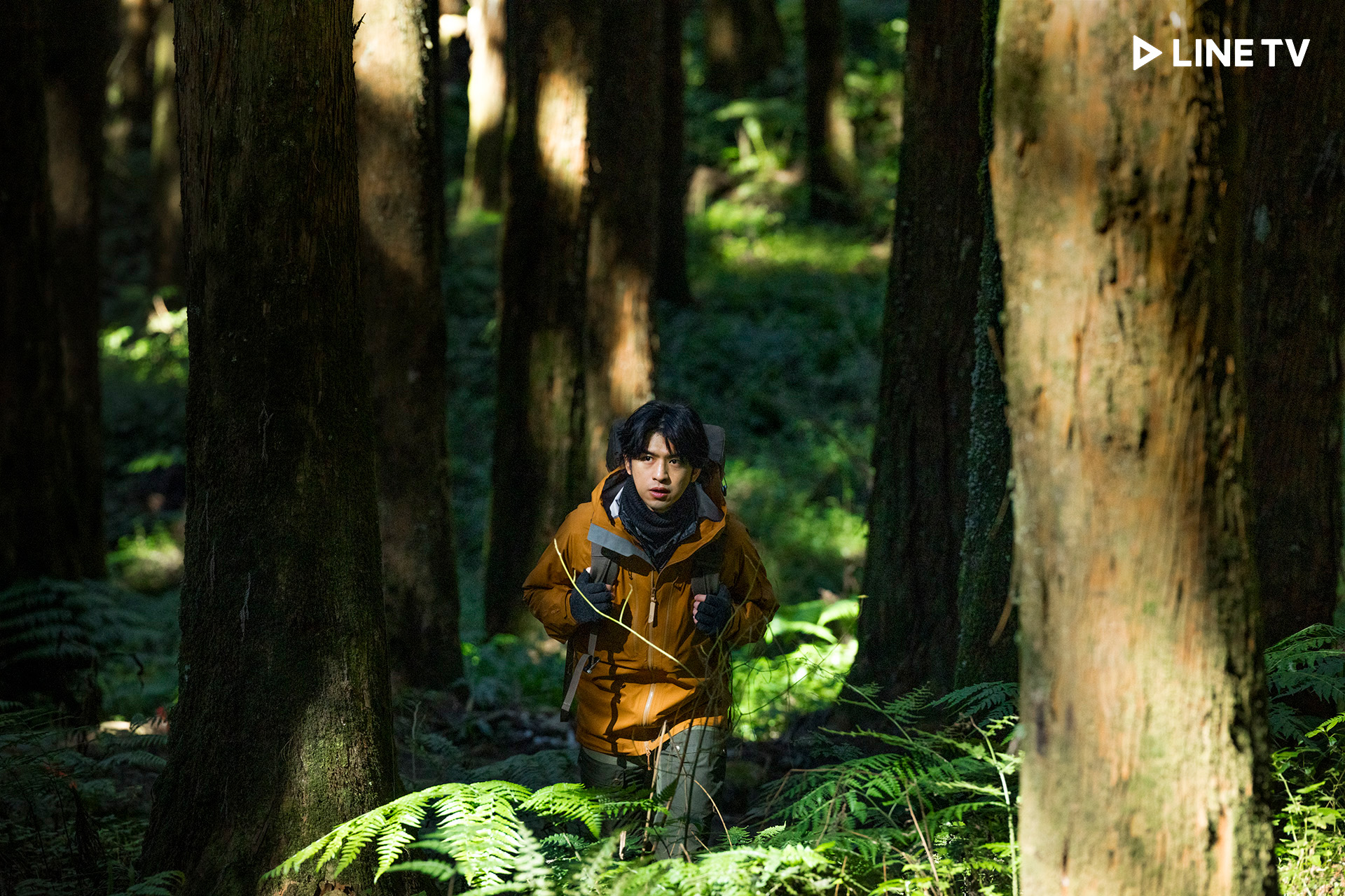 《極島森林》風格精緻,對內容安排、鏡頭構圖等細節都極為要求。(LINE TV提供)