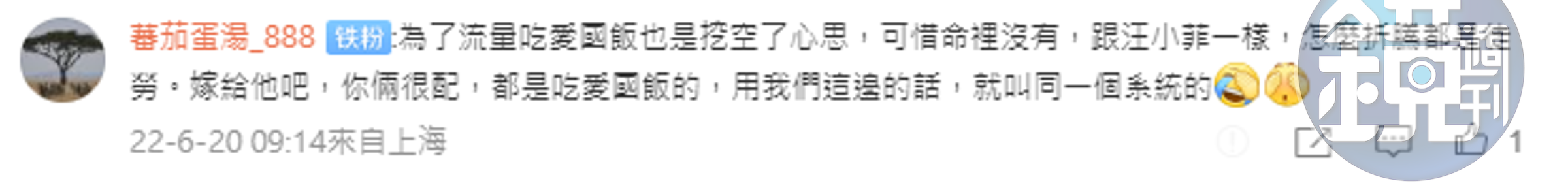 中國網友狠酸劉樂妍。（翻攝微博）