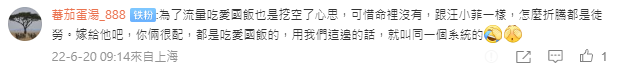 中國網友狠酸劉樂妍。（翻攝微博）