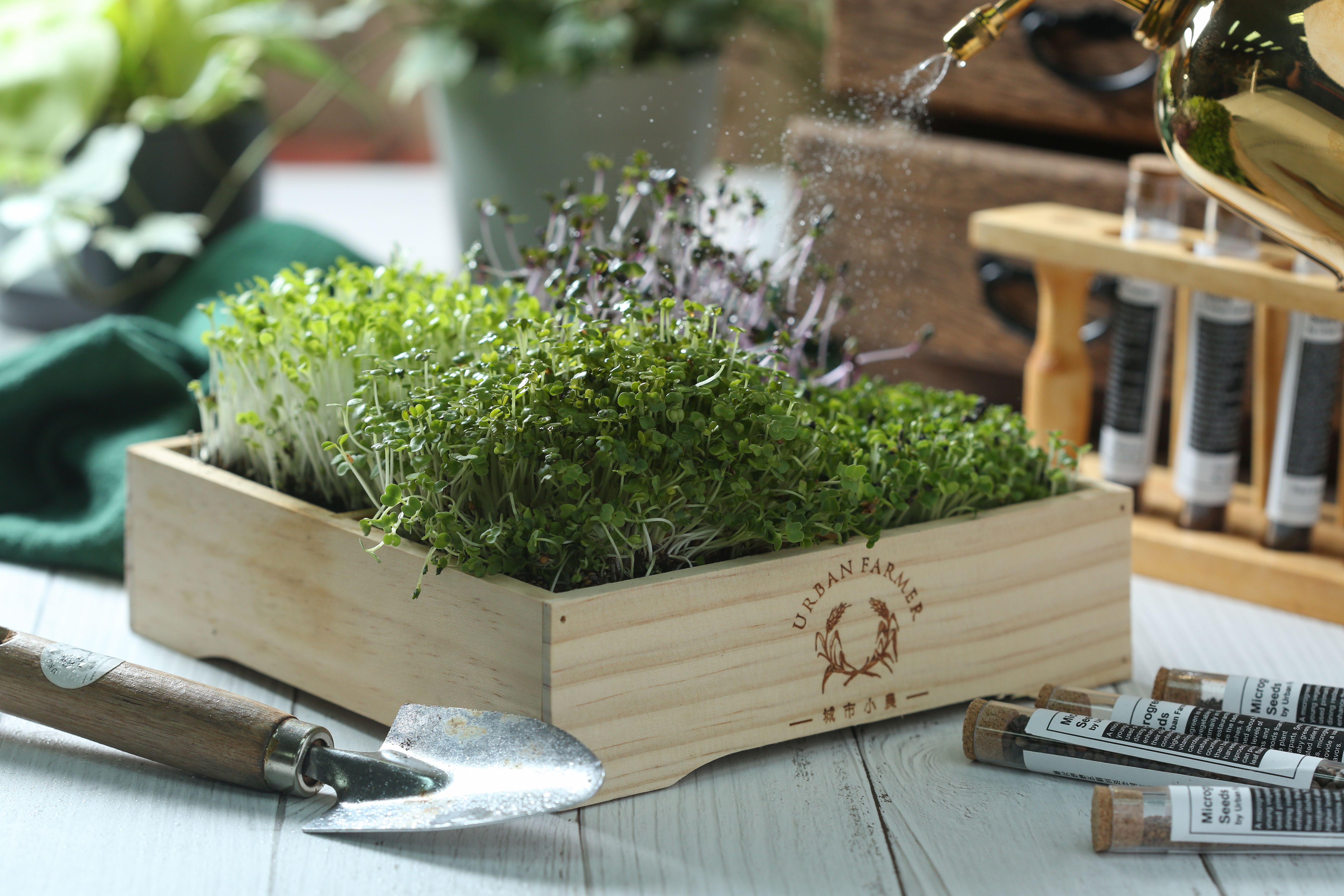 分成4種套餐的「桌上小農田」，外型精緻漂亮，很適合親子同樂，每組可栽種2～3次，可另加購補充包。（400元／組）