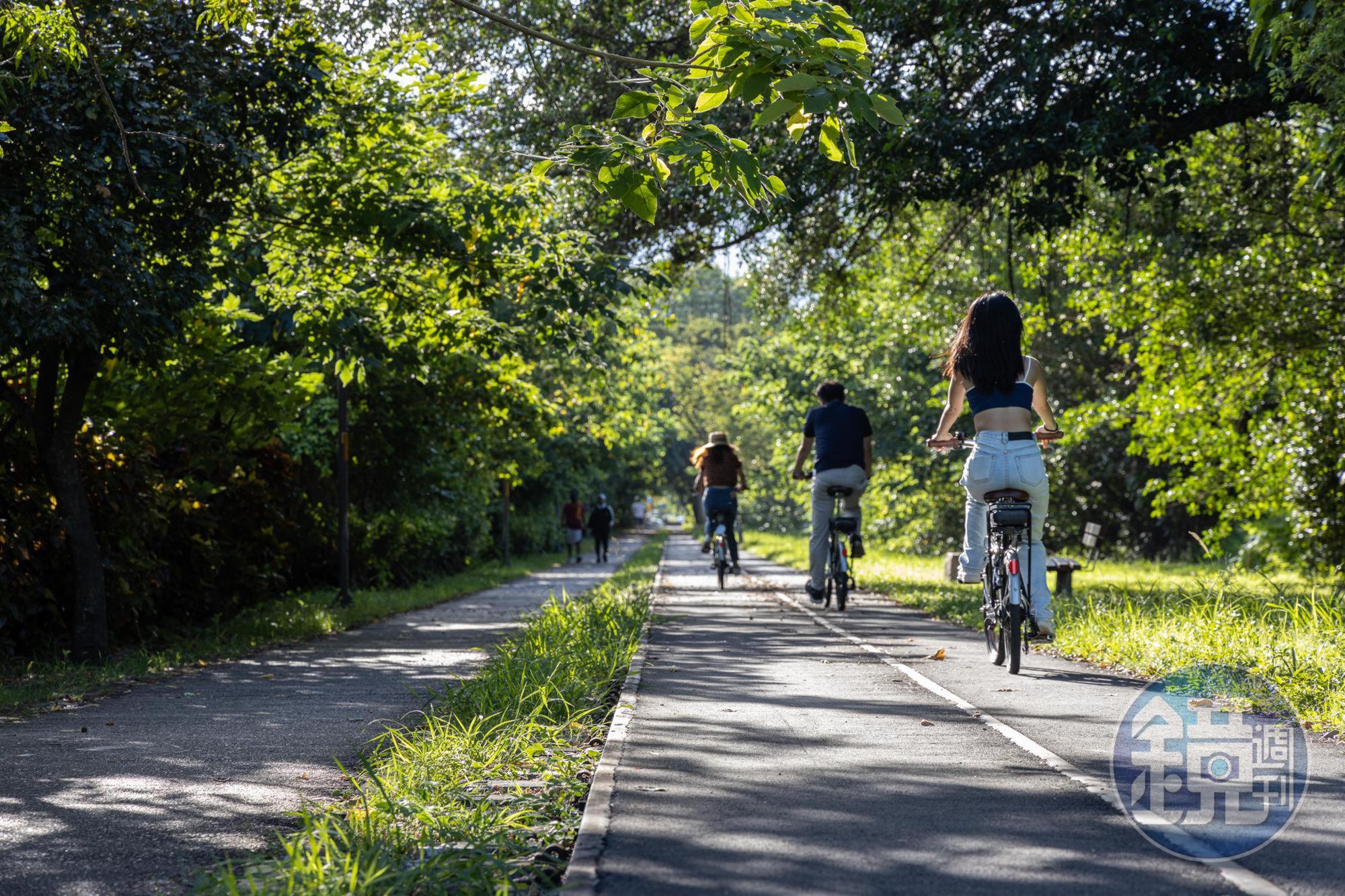 舊鐵道路線的台東糖廠路段,兩旁綠葉成蔭,騎乘單車舒適宜人。