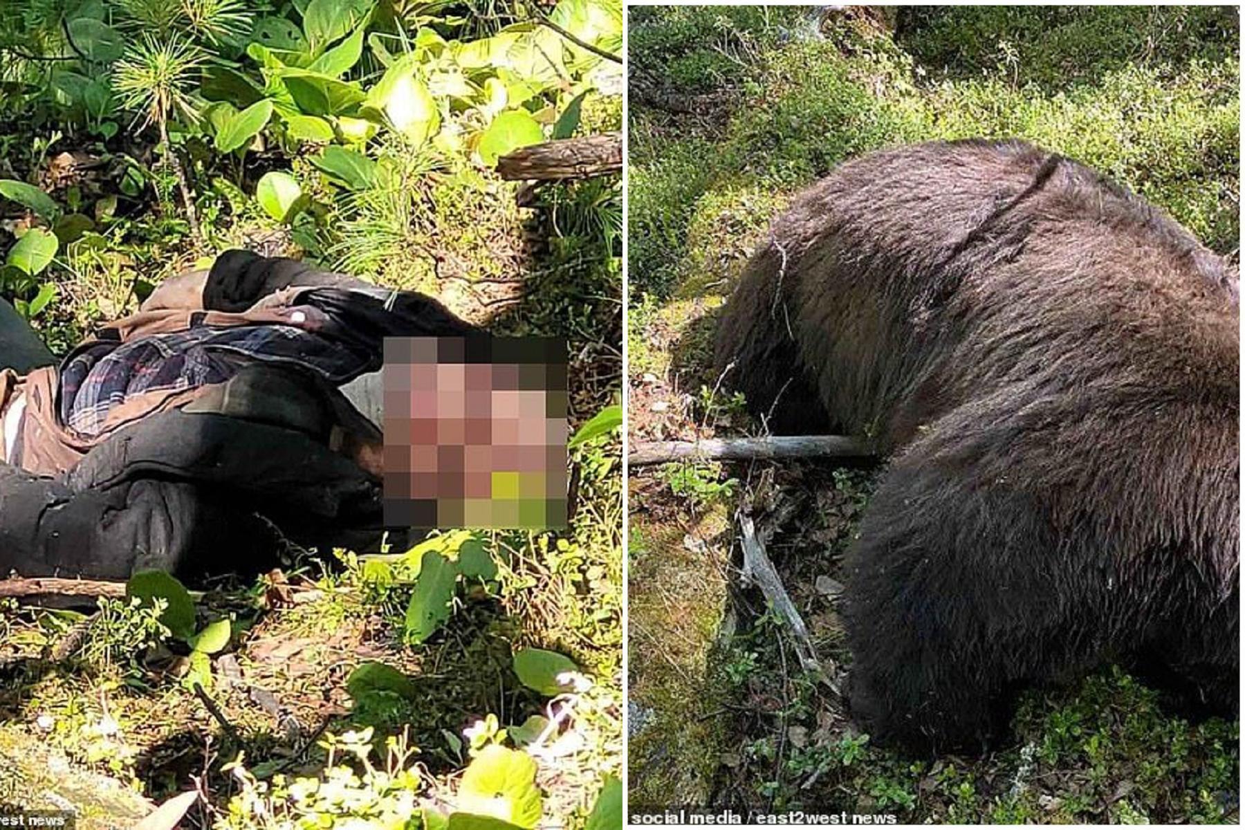 棕熊遭槍殺，用最後一口氣反殺獵人壓碎頭骨慘死。（翻自英國《每日郵報》）