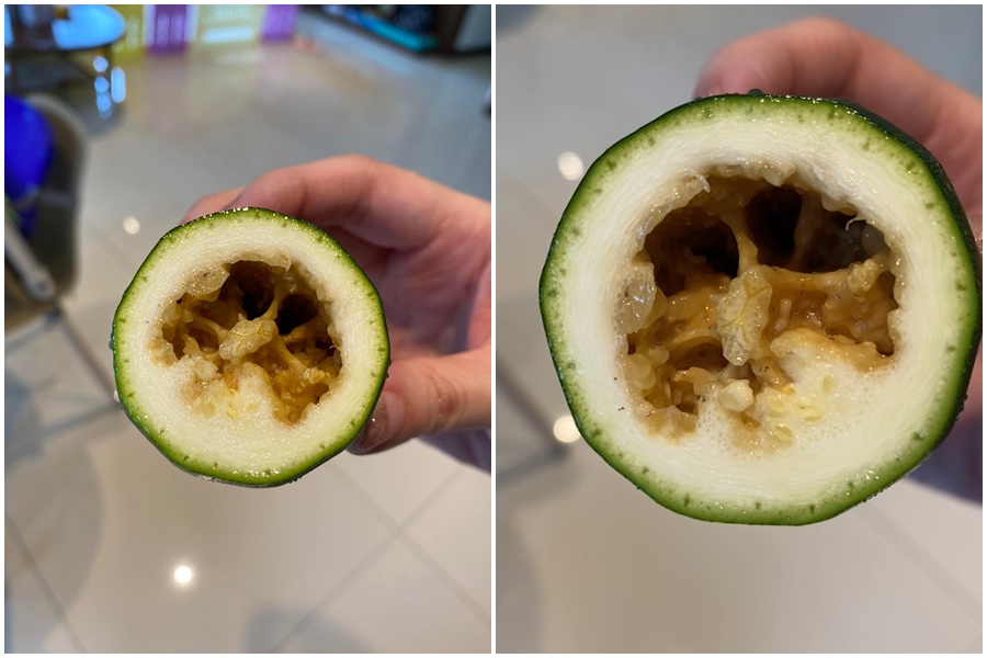 櫛瓜外觀無異狀，切開來後卻有蟲在爬行蠕動。（翻攝自Costco好市多 商品經驗老實說）