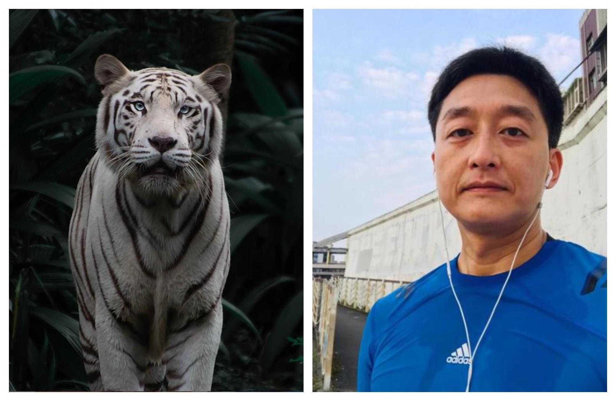 動物星球頻道小編介紹白虎(左圖),柯宇綸(右圖)認為中國的事不應該提。(翻攝動物星球頻道臉書/柯宇綸臉書)