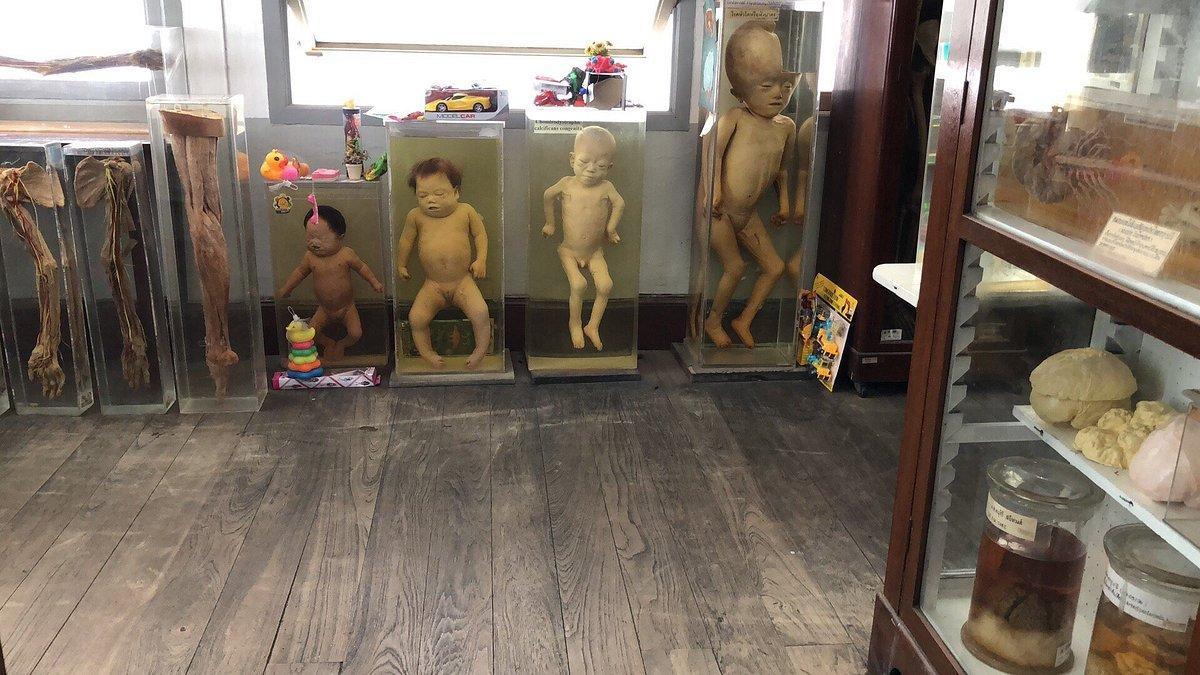 慎入!泰國「死亡博物館」比南美館殭屍更驚悚,展出全是真遺體。(翻自th.tripadvisor.com)