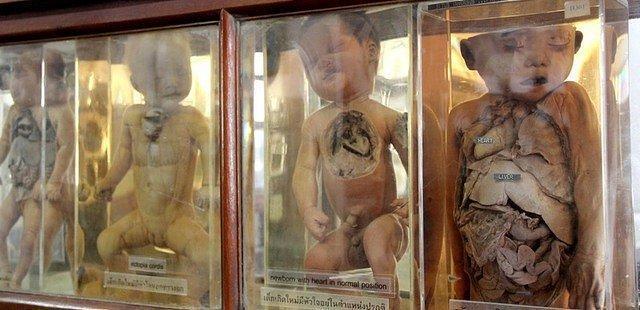 該博物館存放許多醫療珍貴資料。(翻自th.tripadvisor.com)