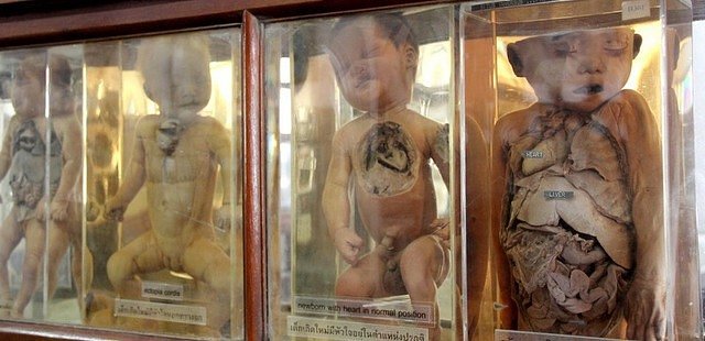 該博物館存放許多醫療珍貴資料。（翻自th.tripadvisor.com）