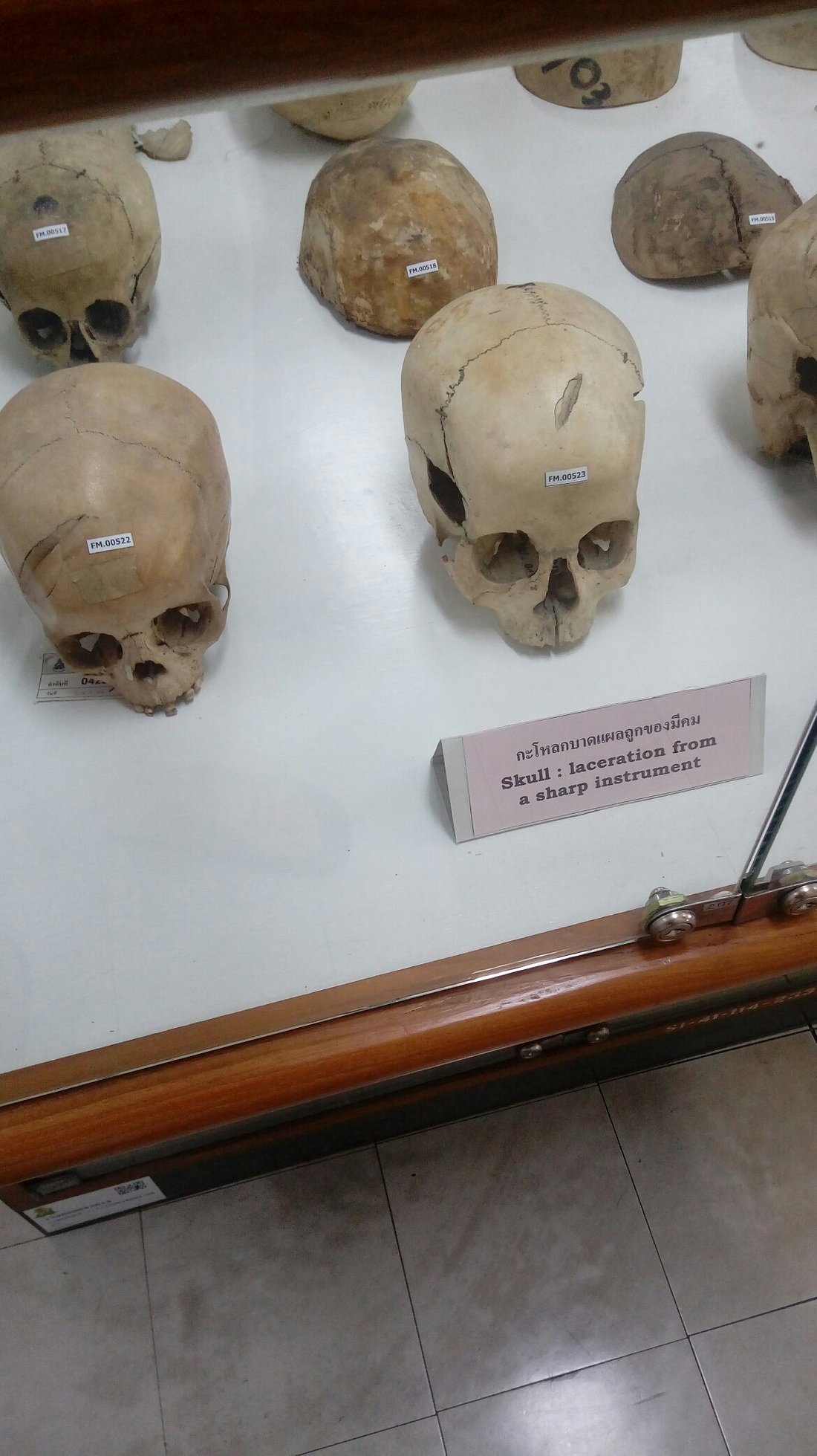 這些都是真遺體。（翻自th.tripadvisor.com）