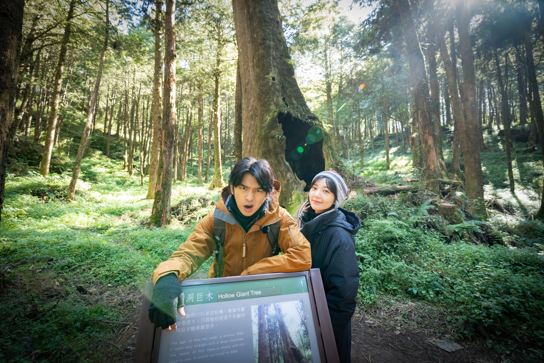 郭雪芙(右)與陳柏霖(左)到阿里山森林遊樂區,一睹雄偉的水山巨木。(LINE TV提供)