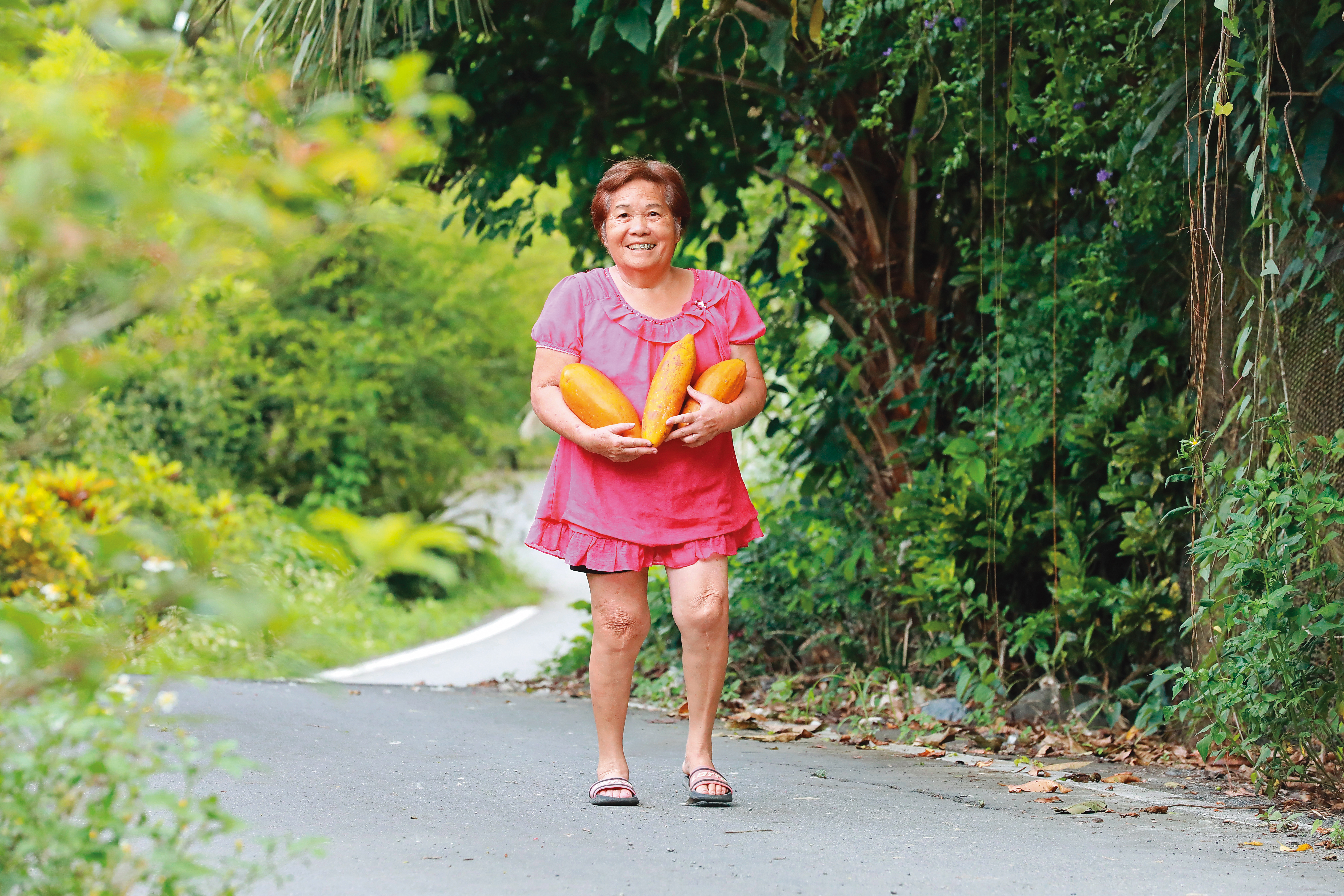 林秀英如今在台南市南化區，過著恬淡的生活。 見我們來訪，她堅持要我們帶幾顆她女兒栽種的木瓜作為伴手禮。 