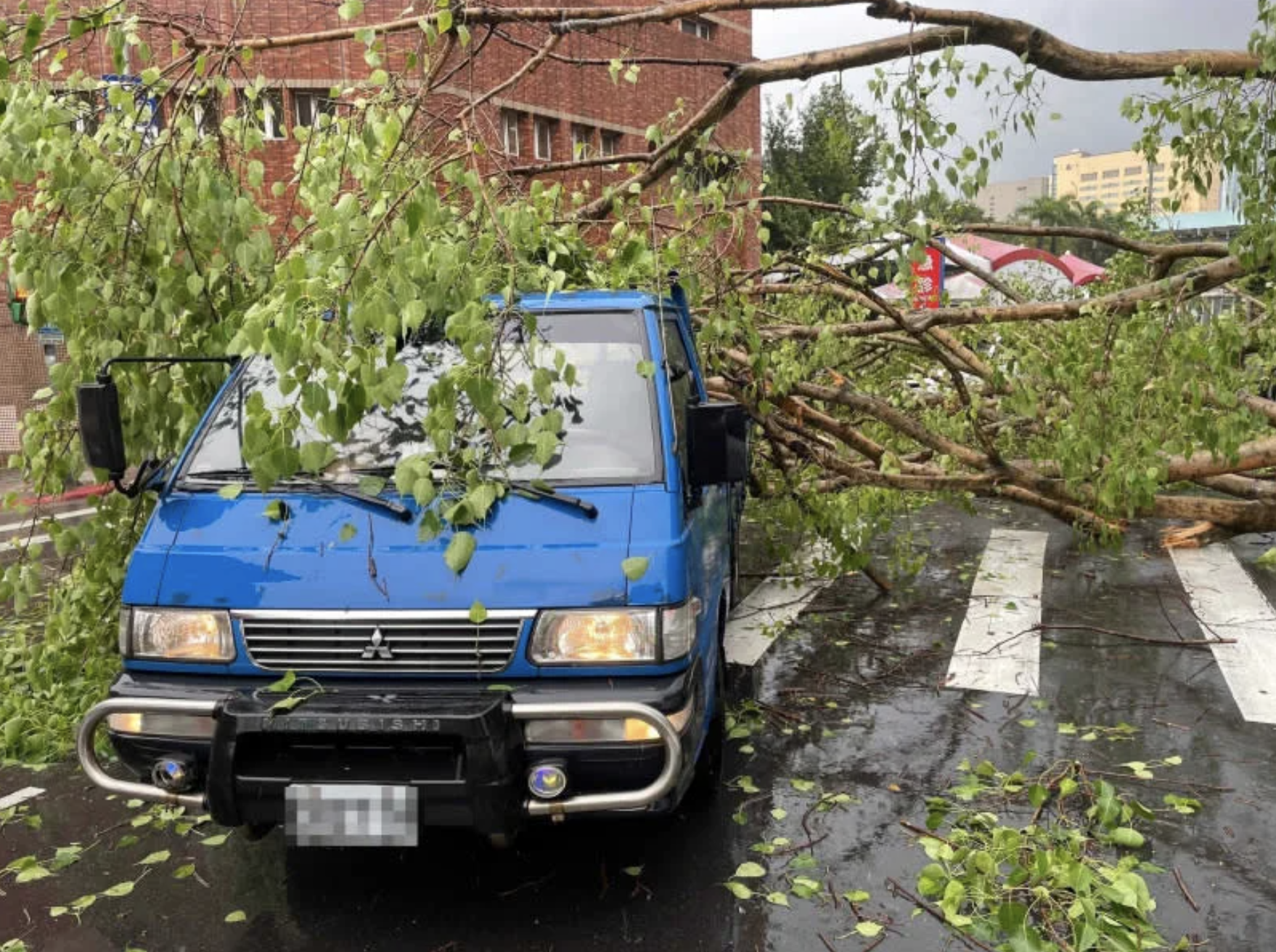 貨車被倒下的樹壓到。(台北市消防局提供)