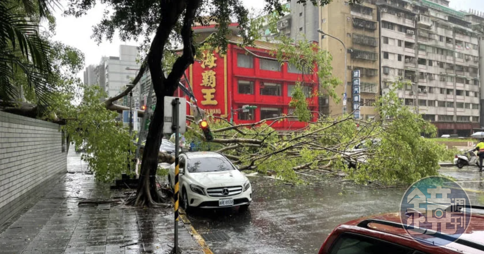 台北市大同區西寧北路、長安西路口有一棵大樹傾倒。(台北市消防局提供)