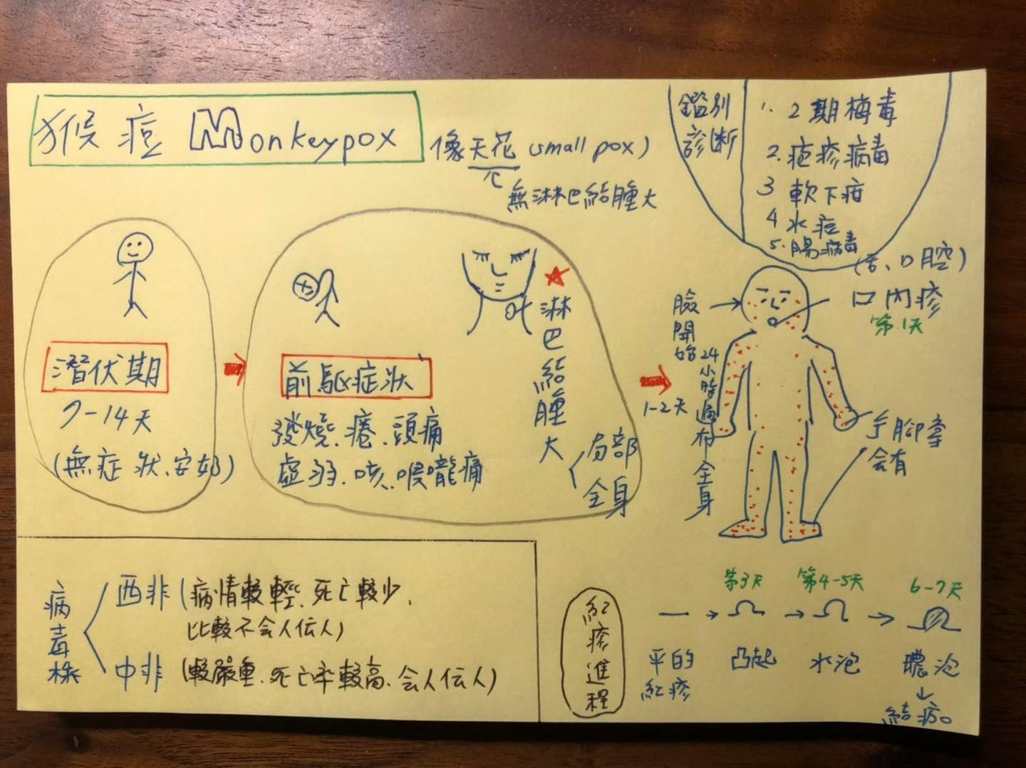 皮膚科醫師蔡逸姍手繪圖片解釋感染猴痘的病程。(翻攝皮膚科蔡逸姍醫師粉專)