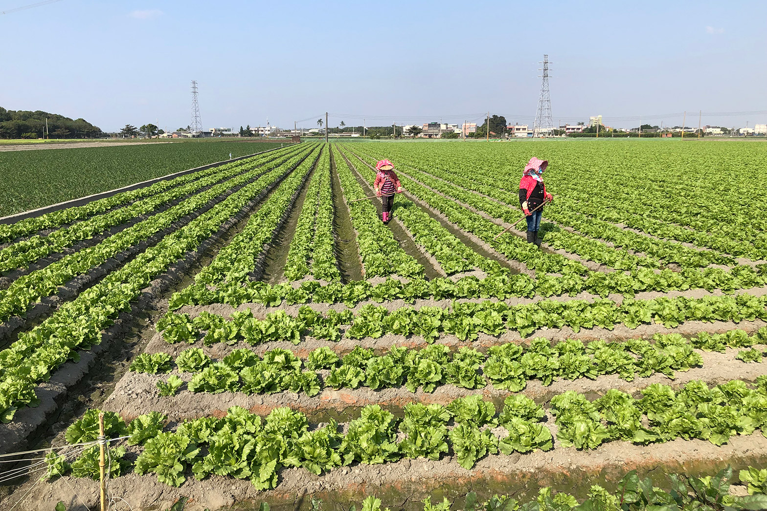 「2022麥當勞高峰會」邀請專家探討如何積極因應，讓台灣農業更具競爭力。