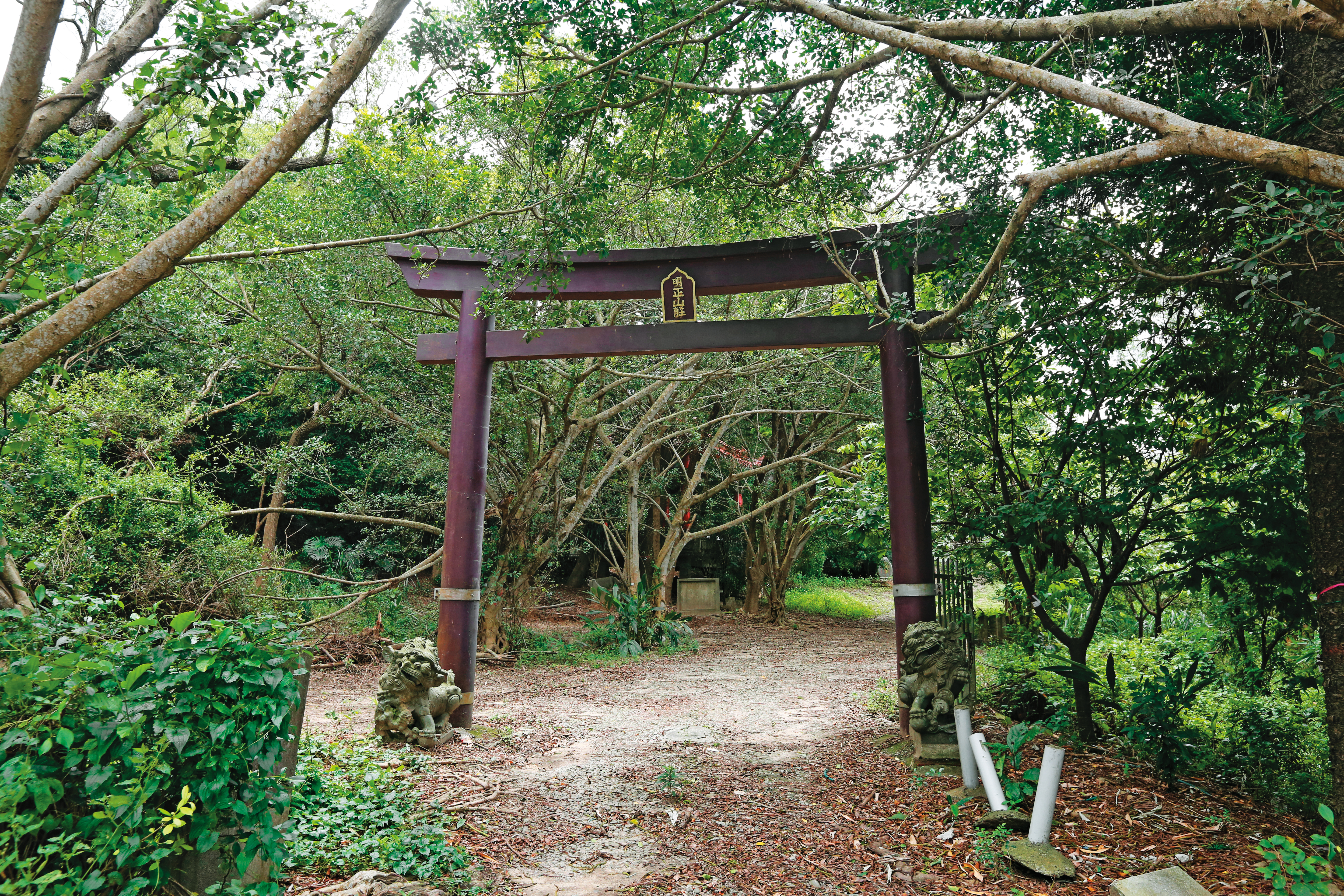 鄭家墓園擁有178年歷史，入口處還有日治時代的鳥居建築。