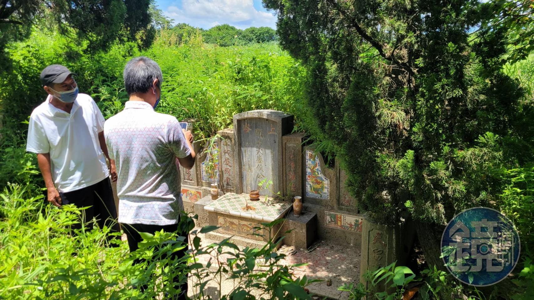 侯友宜家祖墳雜草叢生，影響子孫運勢。（讀者提供）