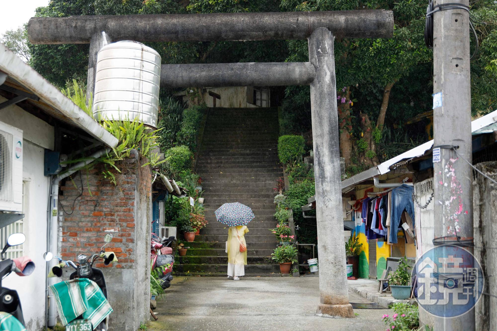 站在鳥居下仰望被高聳樹木遮蓋的階梯，讓「玉里神社」多添一抹神祕色彩。