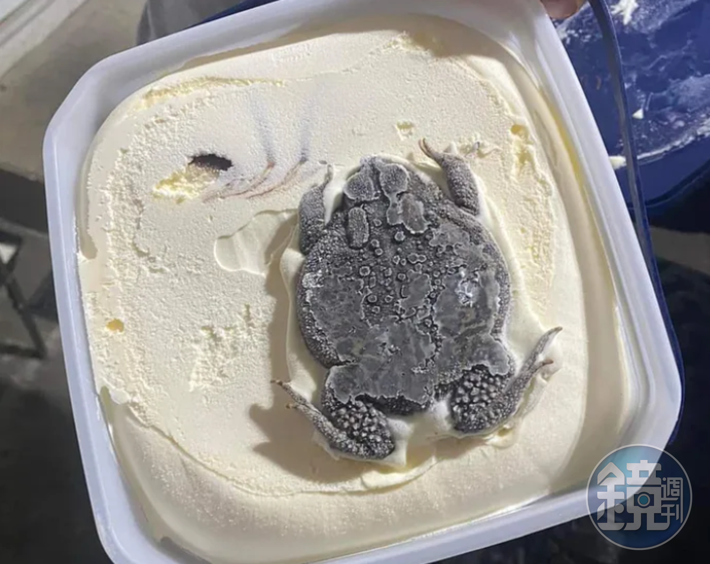 國外瘋傳一張「蟾蜍」口味的冰淇淋照。（翻攝自reddit）