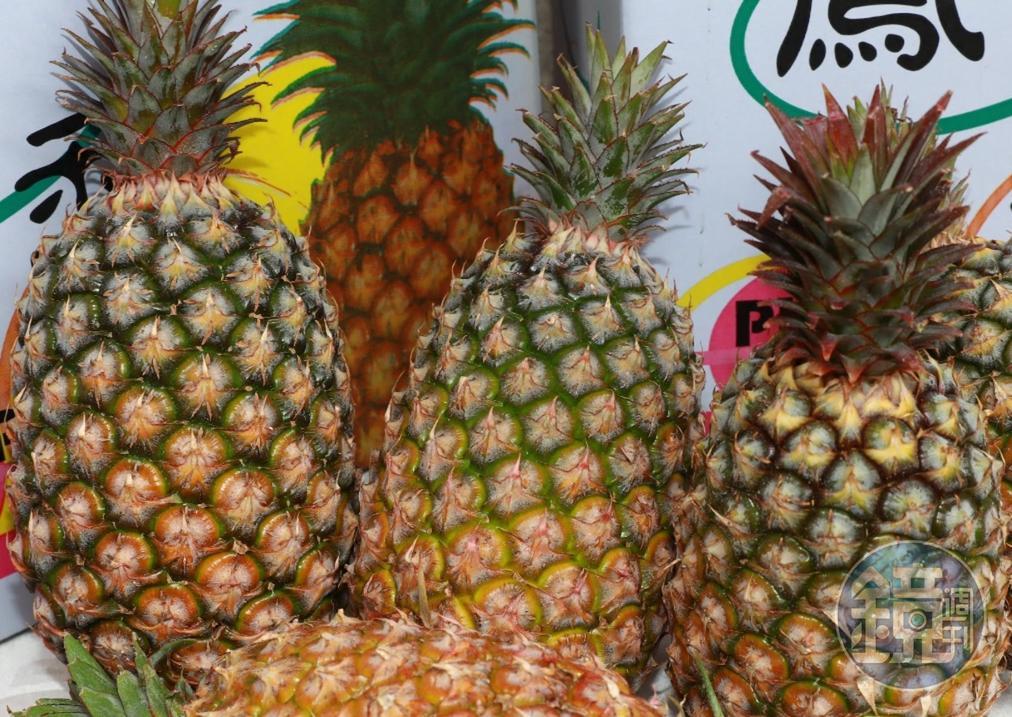 傳出台灣鳳梨送到日本出現發霉情況，農委會解釋原因。（示意圖，本刊資料照）