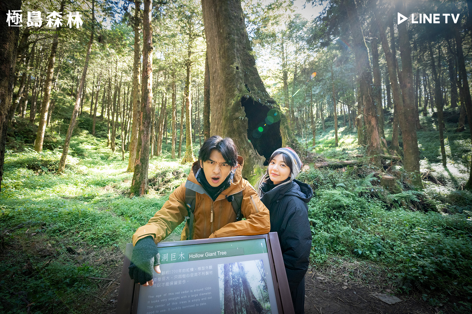 陳柏霖與郭雪芙前往阿里山尋找樹木醫生。（LINE TV提供）