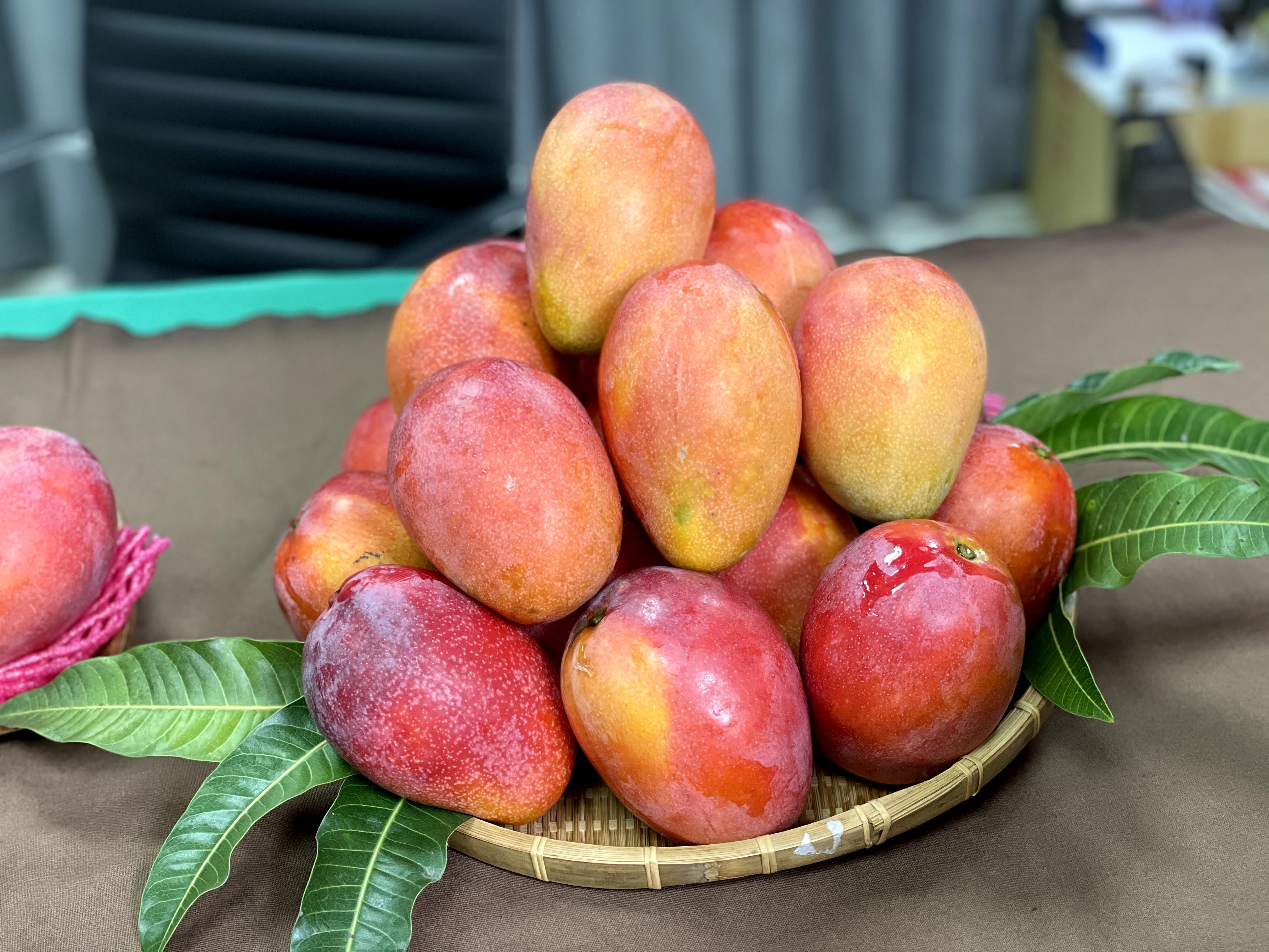 台灣日前有百公斤芒果在澳門被驗出新冠病毒，遭到整批銷毀。（示意圖，翻攝自台南市政府網站）