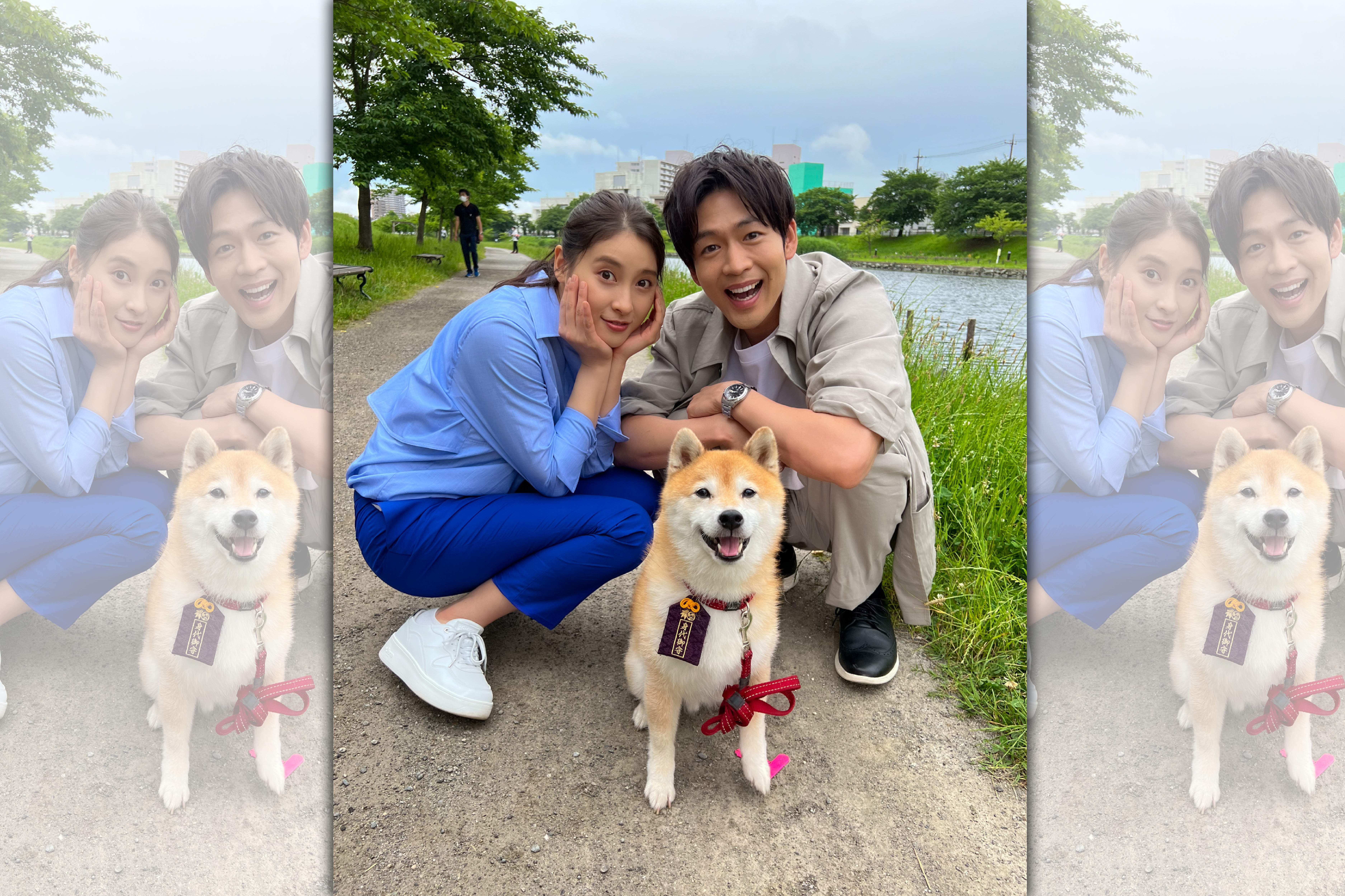 《麻煩一族》完結篇驚喜見到《難破MG5》的戲精柴犬客串。（翻攝麻煩一族官方推特）