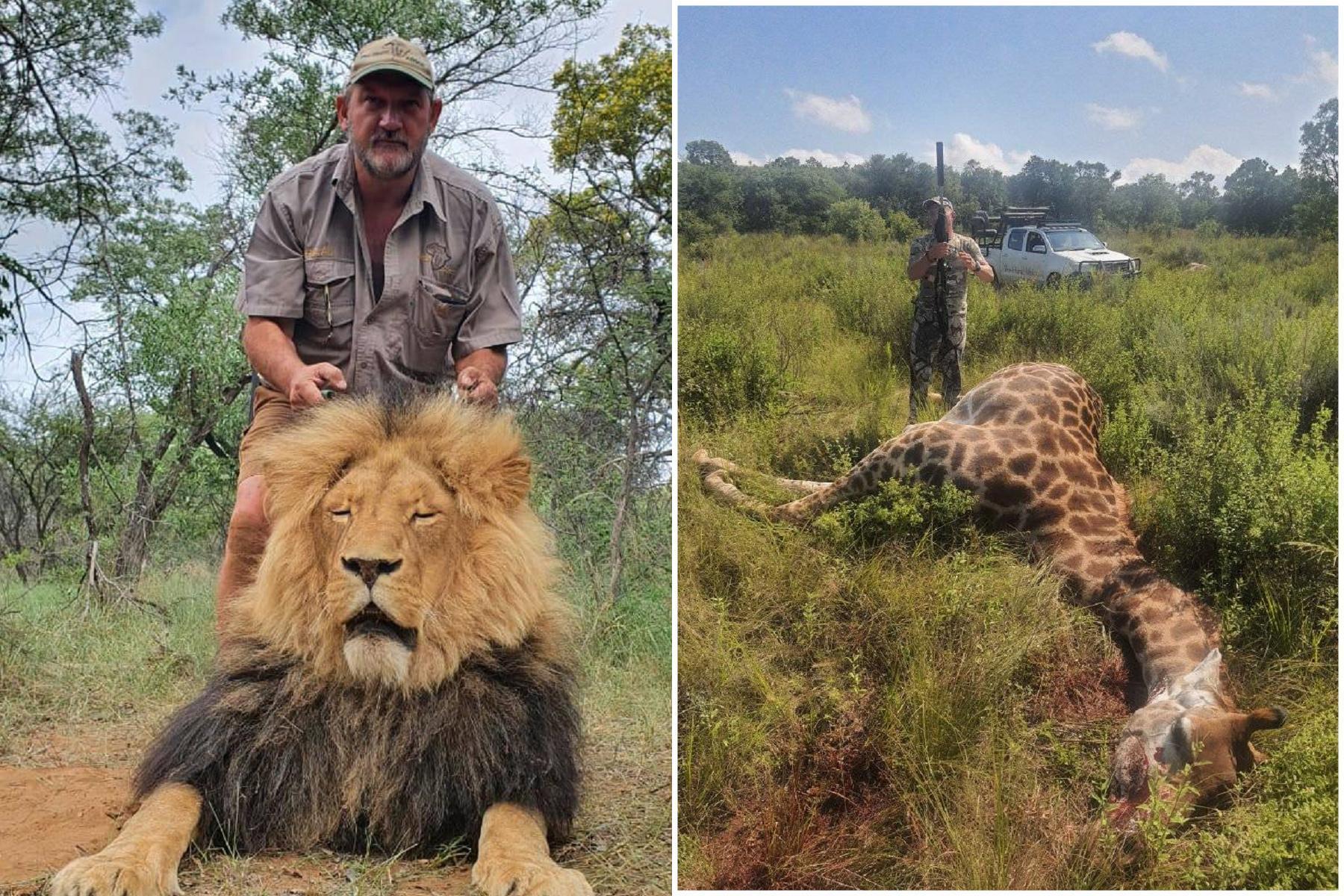 最冷血獵人殘殺大量野生動物,報應來了!遭行刑式謀殺爆頭慘死。(翻自臉書)