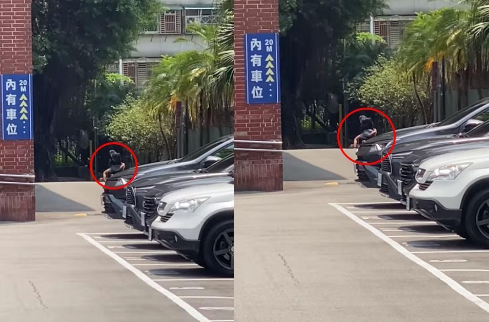 有網友捕捉到在板橋藝文中心停車場,一對男女疑似按耐不住欲火,在外做起「恩愛運動」。(翻攝爆廢公社公開版)