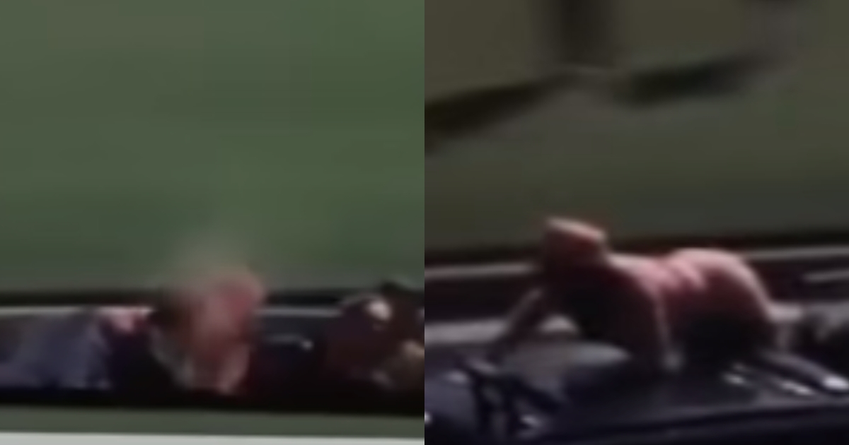 甘迺尼頭部中彈身亡，其妻賈桂琳爬到禮車後方捧起他的腦組織。（翻攝自YouTube）