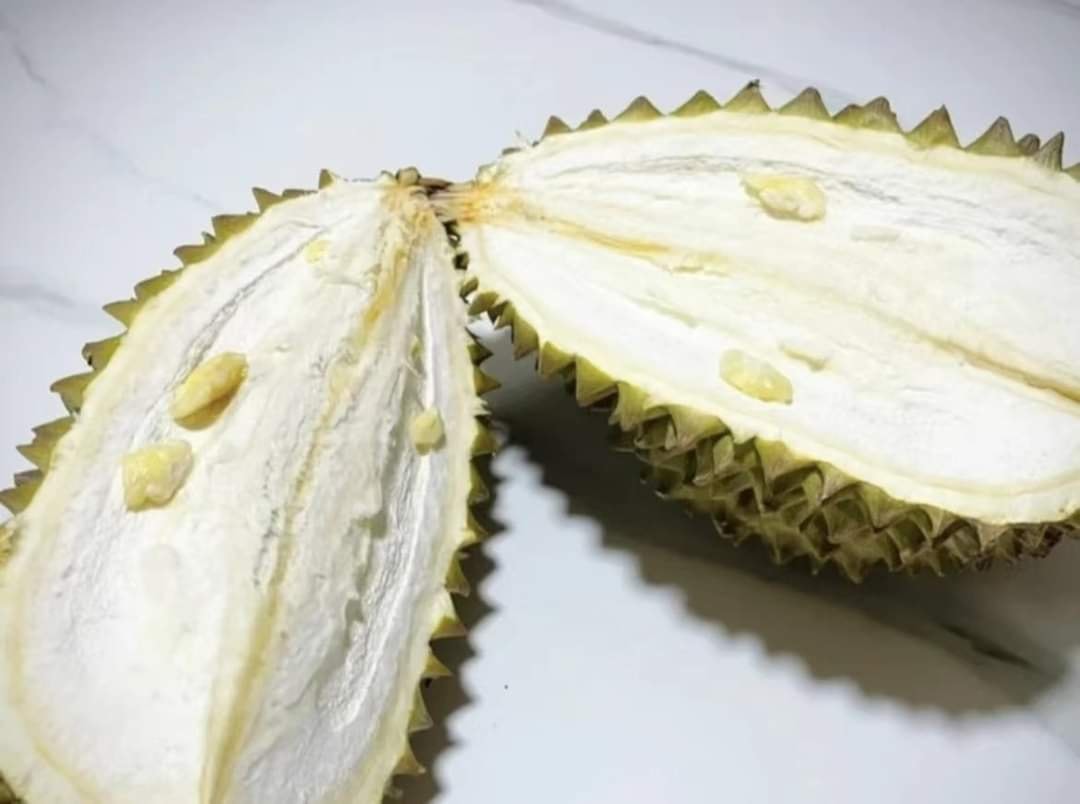 有網友買榴槤回家切開後驚呆，竟挑到果肉超少「不懂事的榴蓮」。（翻攝自爆廢公社）