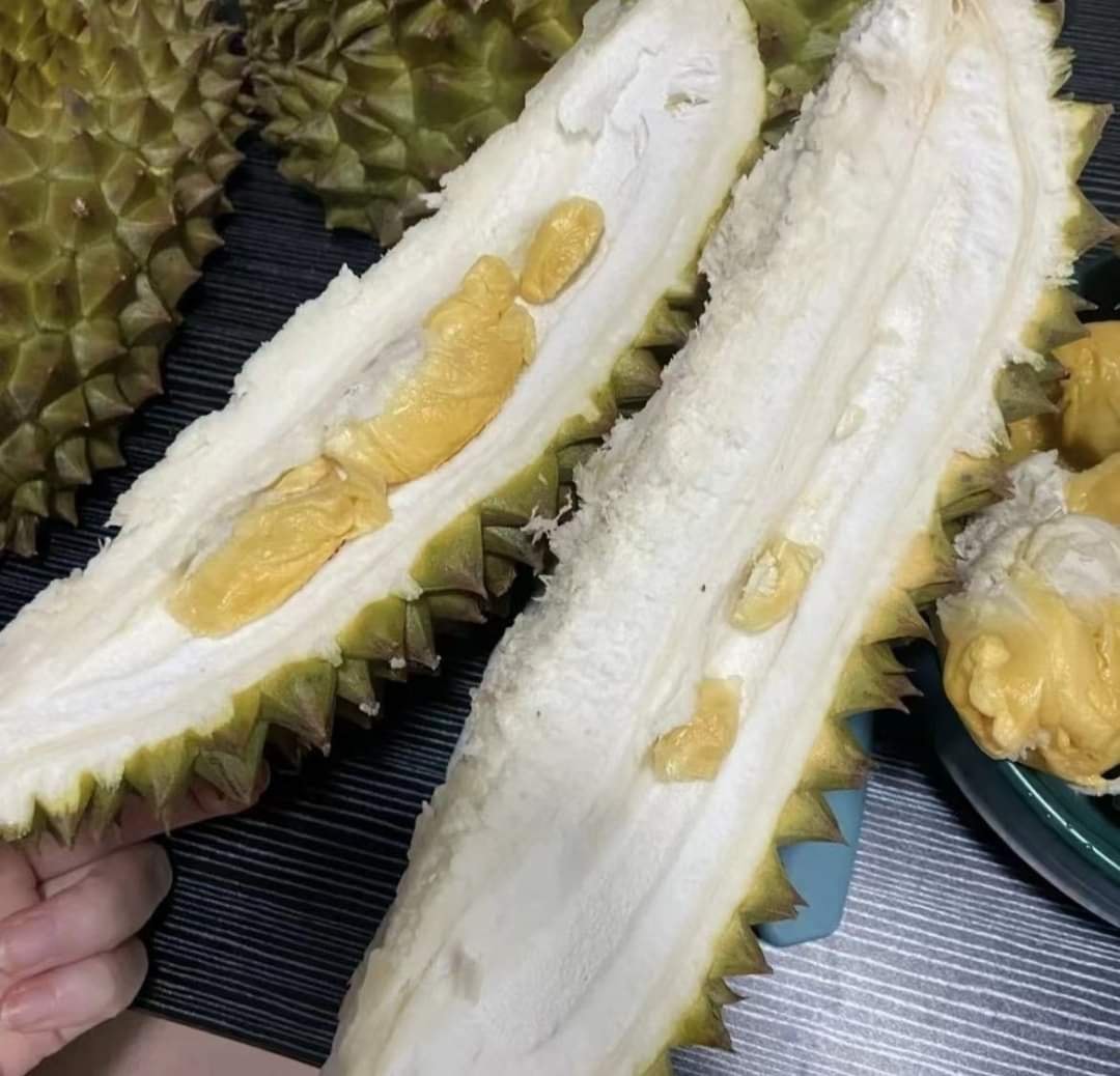 有網友買榴槤回家切開後驚呆，竟挑到果肉超少「不懂事的榴蓮」。（翻攝自爆廢公社）