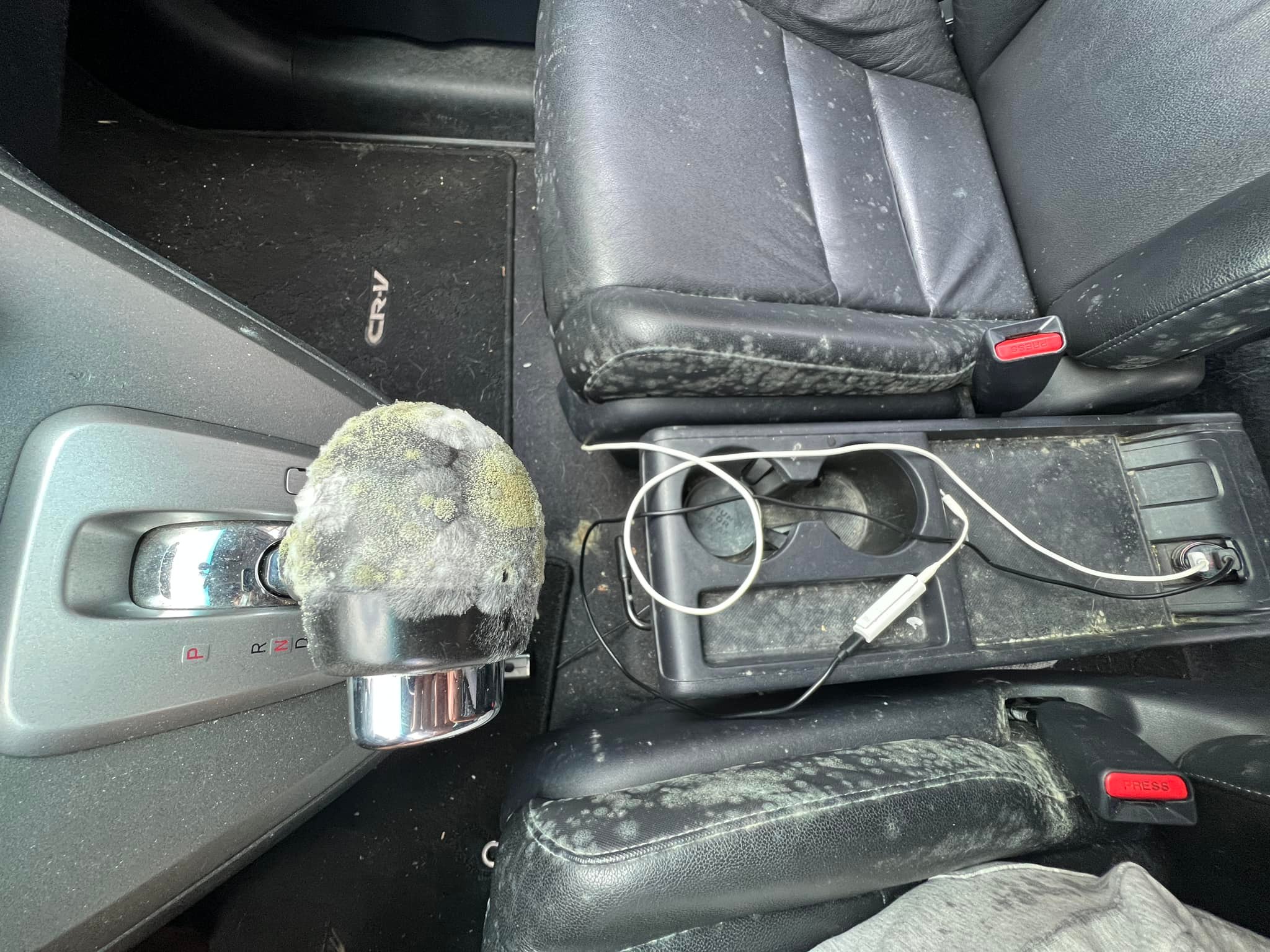 陳彥博的車子長出超多黴菌，甚至連排檔桿上都是。（翻攝自陳彥博 Tommy Chen臉書）
