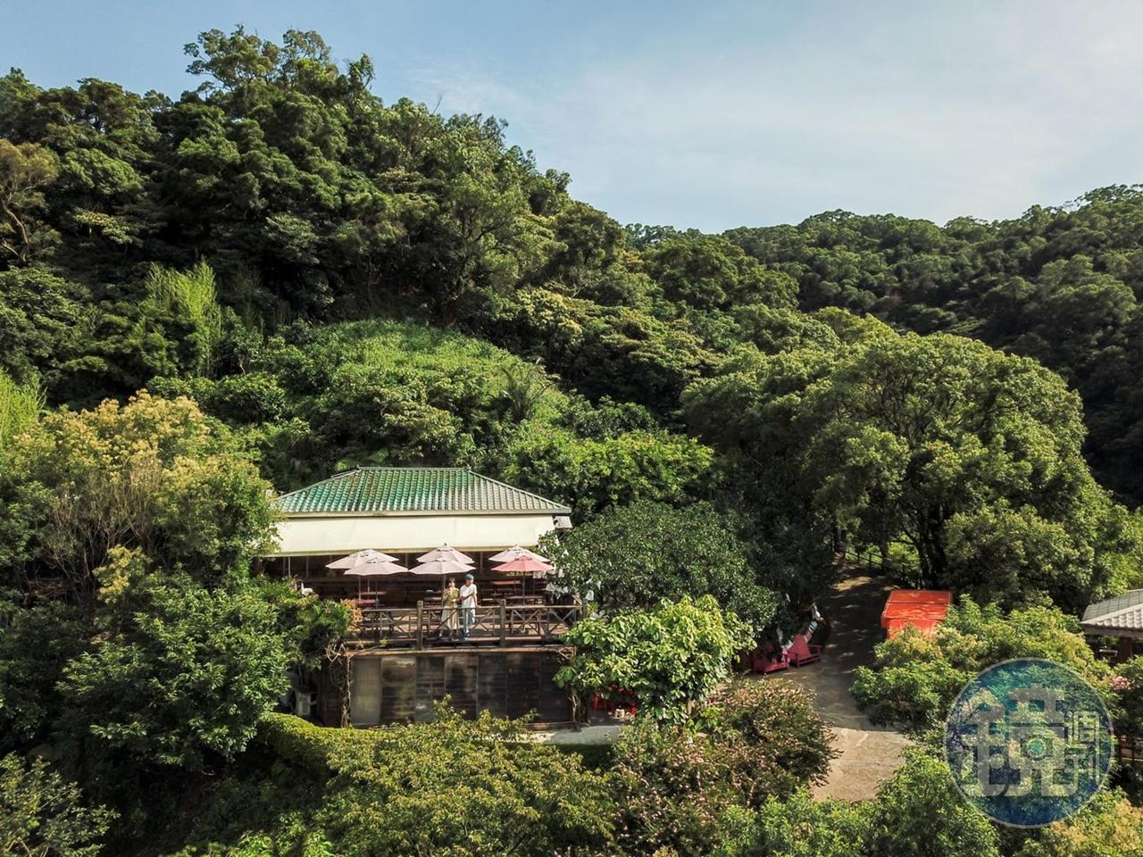 「桃樂絲柚香農場」位於山腰的餐廳很有日系小木屋的悠閒感。