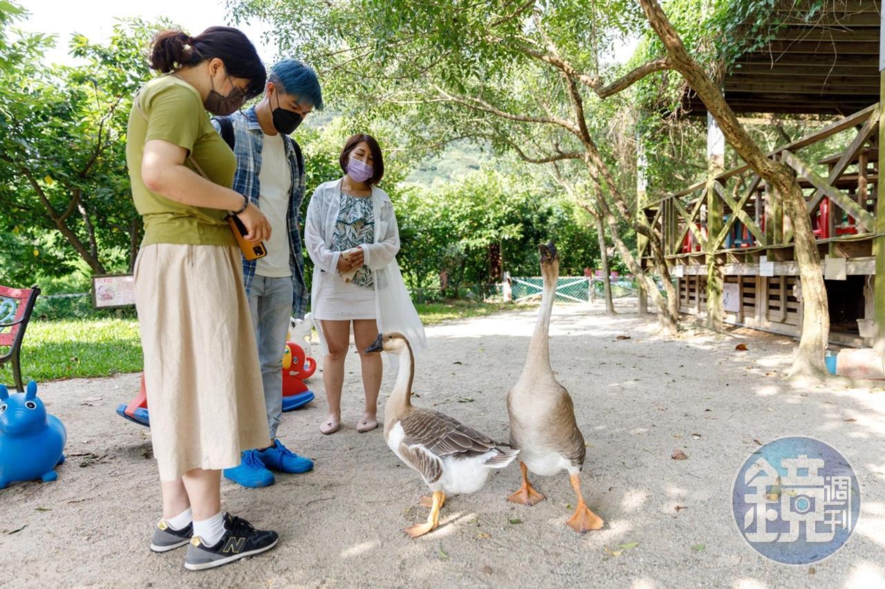 園區內也養了許多可愛動物,是很好的生態觀察。