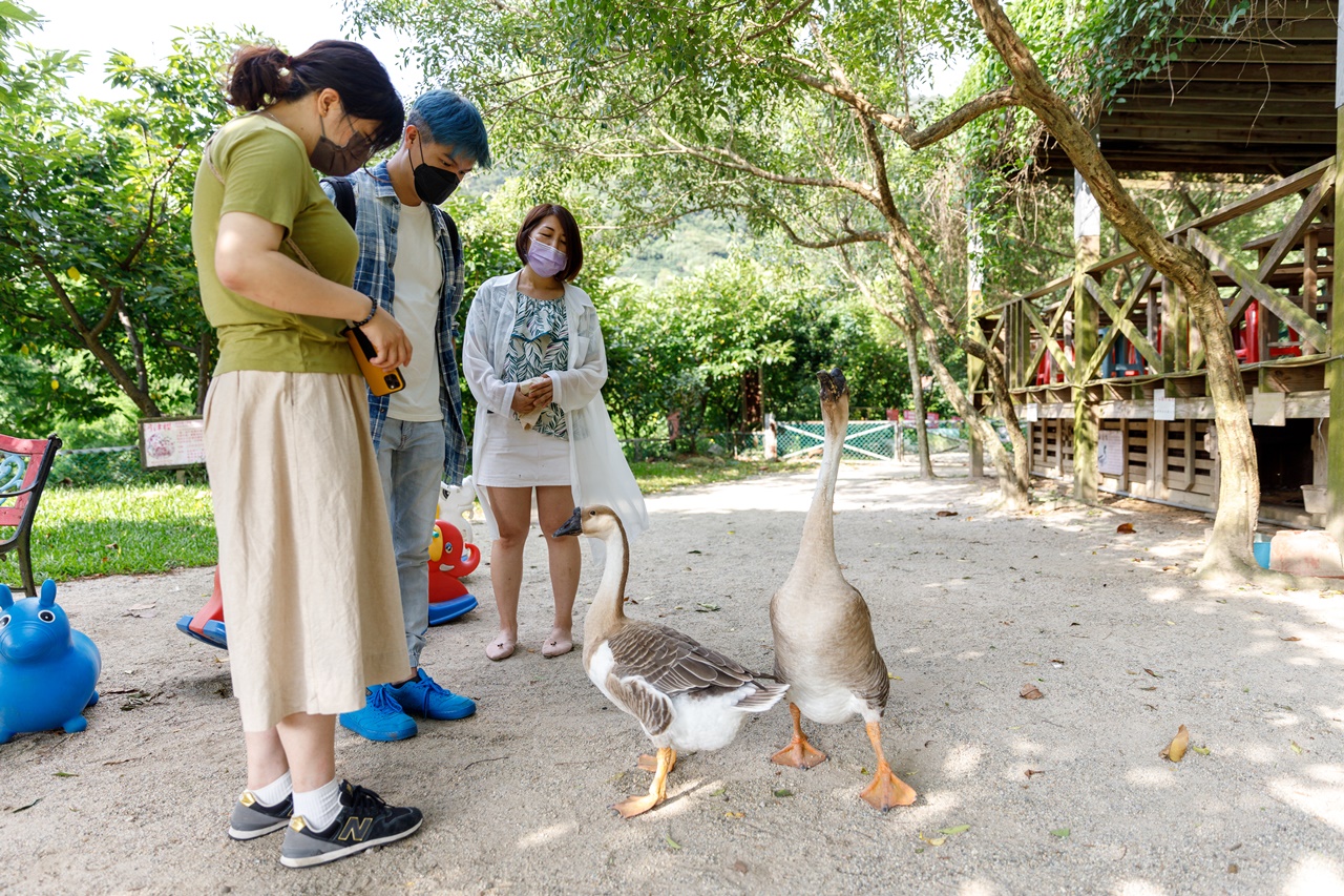 園區內也養了許多可愛動物，是很好的生態觀察。