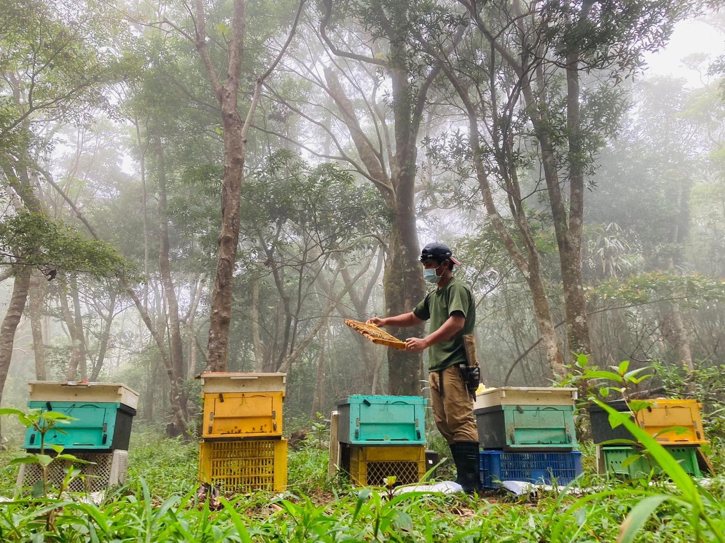 台東大武獵場的森林蜜。(圖片提供:「旭出.山與海的原鄉饗宴|宜花東原鄉市集活動」陳志明。)