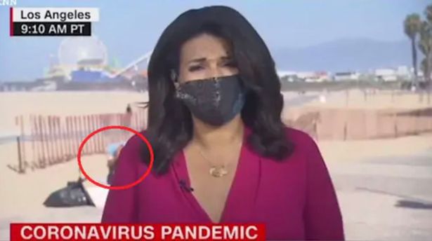 CNN女主播野外連線超18禁！那個女生脫褲露下體，全球都看見了。（翻自CNN畫面）