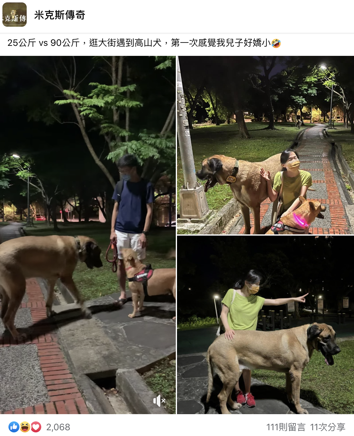米克斯遇到高山犬瞬間變嬌小。（翻攝自米克斯傳奇臉書）