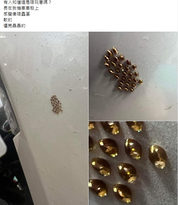 網友在機車車殼上發現神祕的「金色膠囊」,拍照PO網發問。(翻攝爆廢公社)