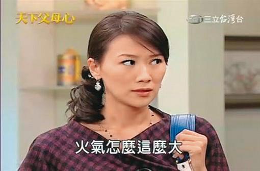 熱門本土劇《天下父母心》中的壞女人蔡有美是讓連靜雯走紅的重要角色。(翻攝三立台灣台)
