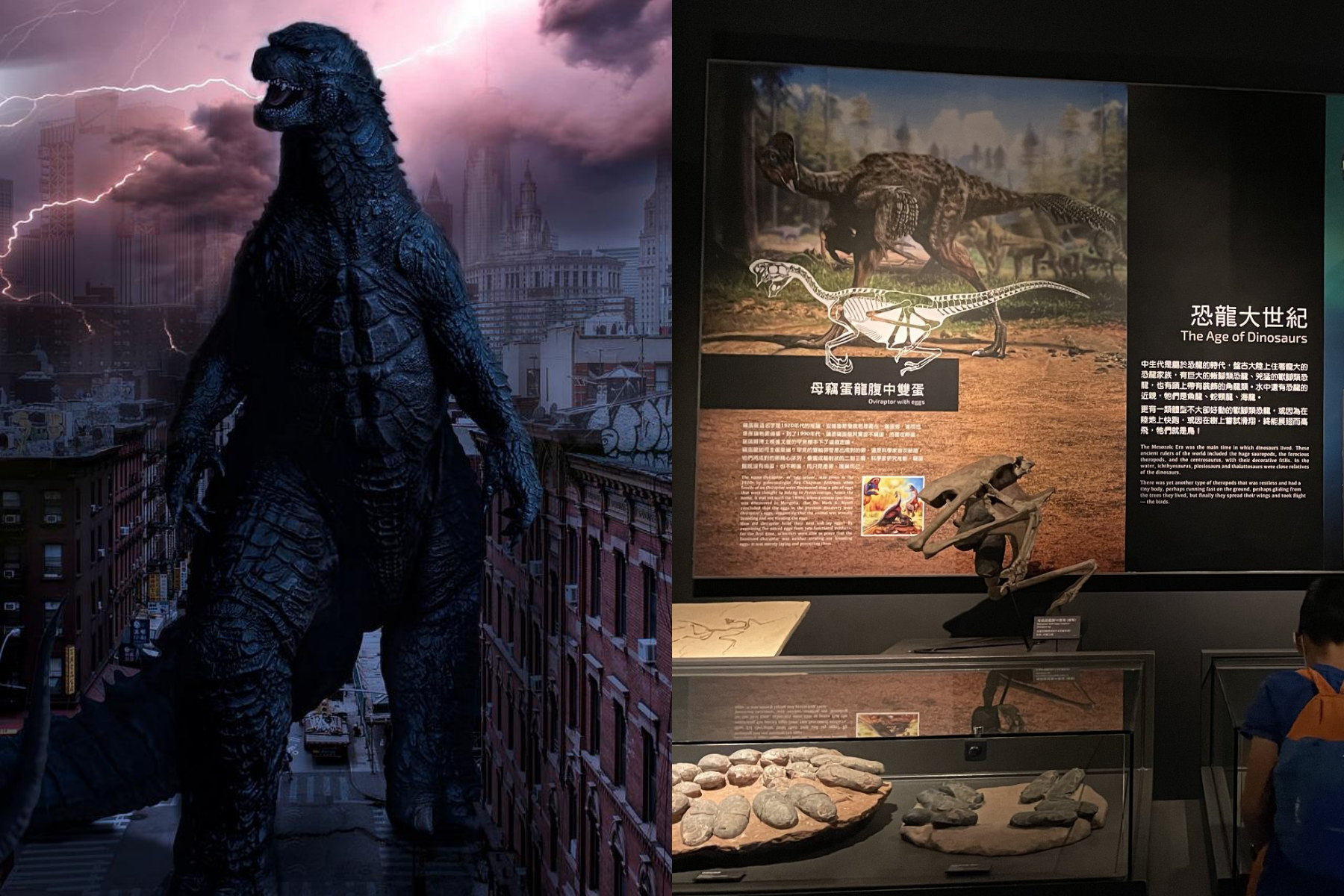 近日全台掀起「哥吉拉之亂」，奇美博物館小編則識趣地跟上時事邀請大家去博物館看恐龍。（左為示意圖、Pixbay提供，右圖翻攝自奇美博物館 Chimei Museum臉書）