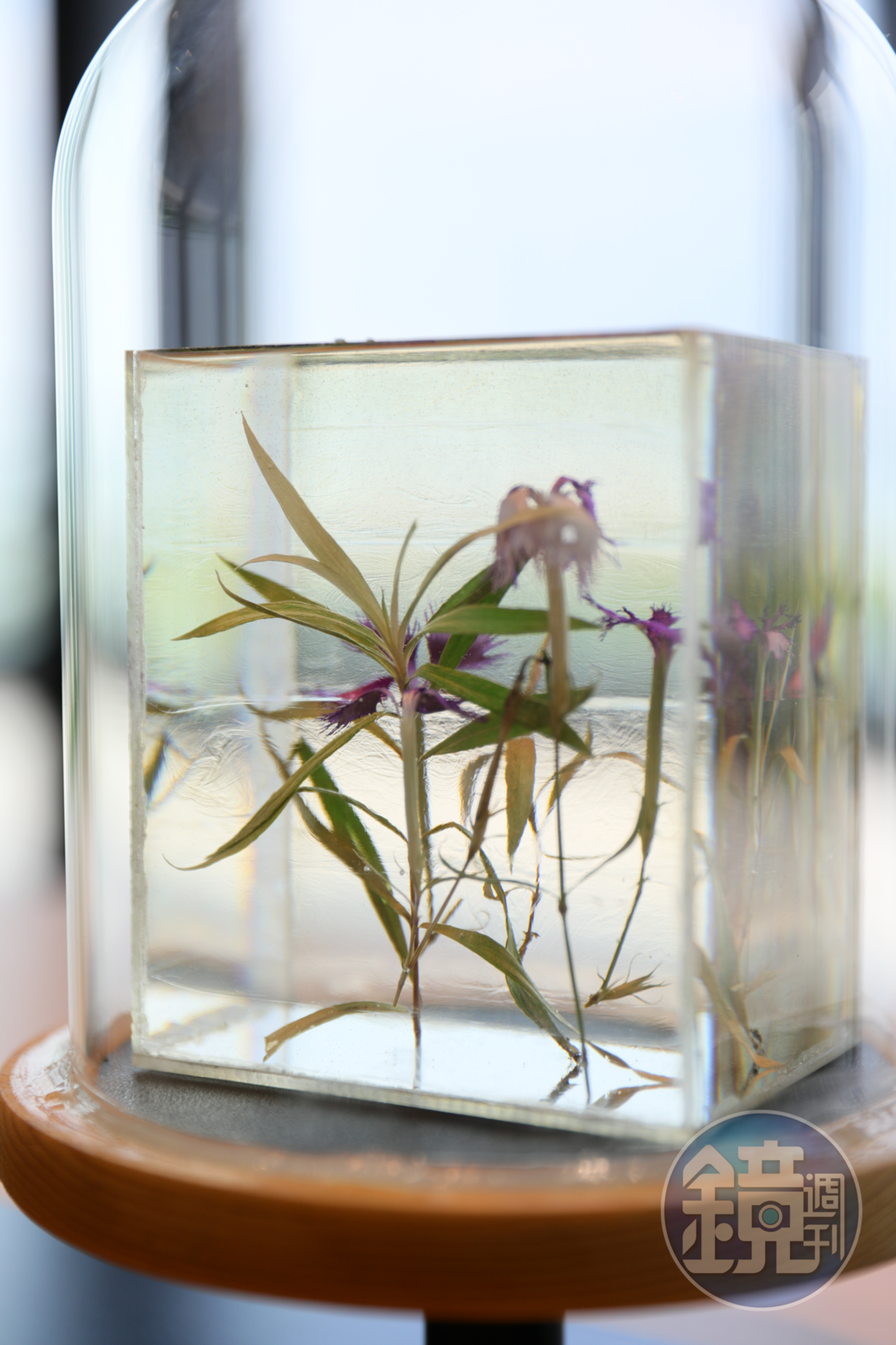 《繪自然》也展示出各類大自然植物特徵。