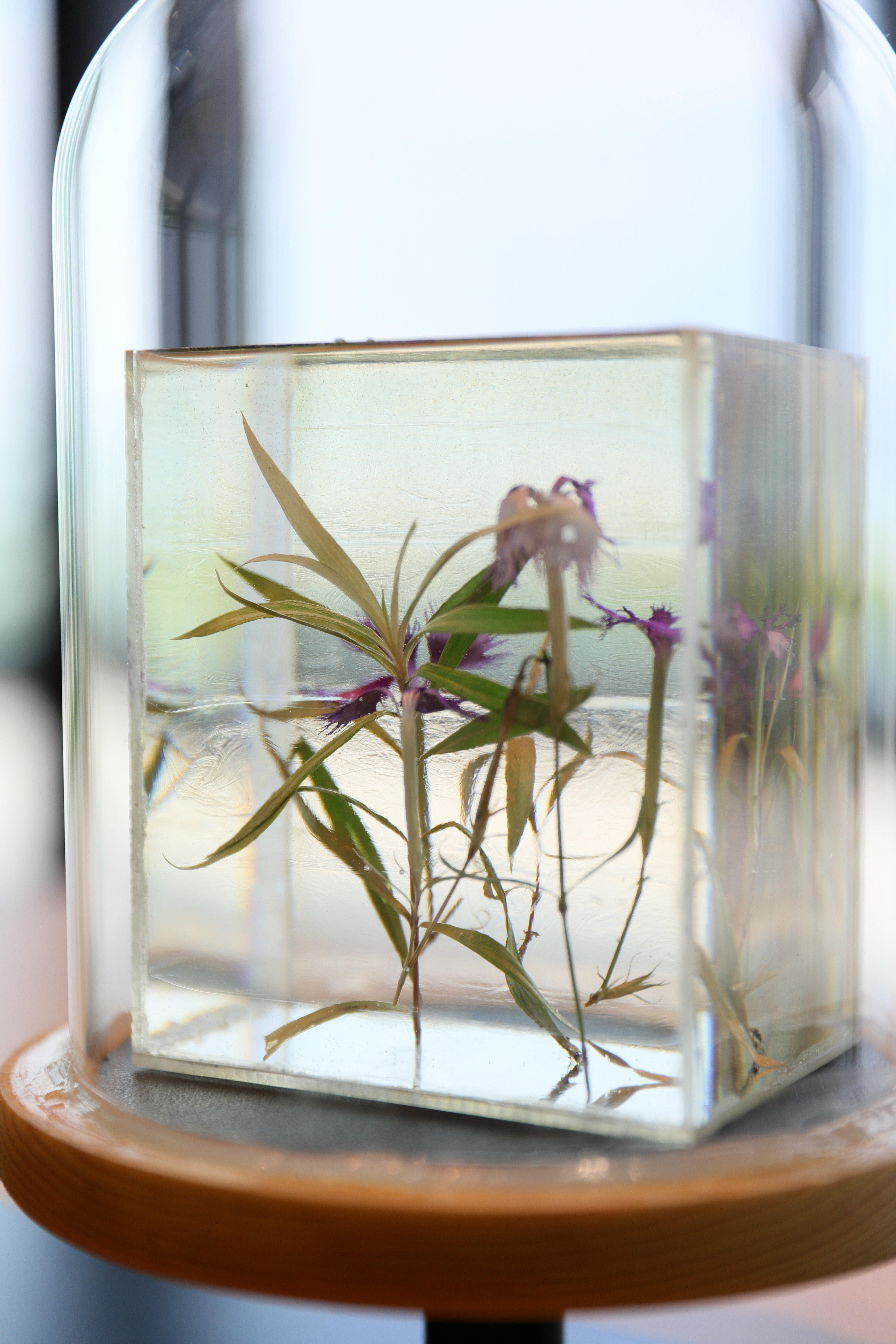 《繪自然》也展示出各類大自然植物特徵。