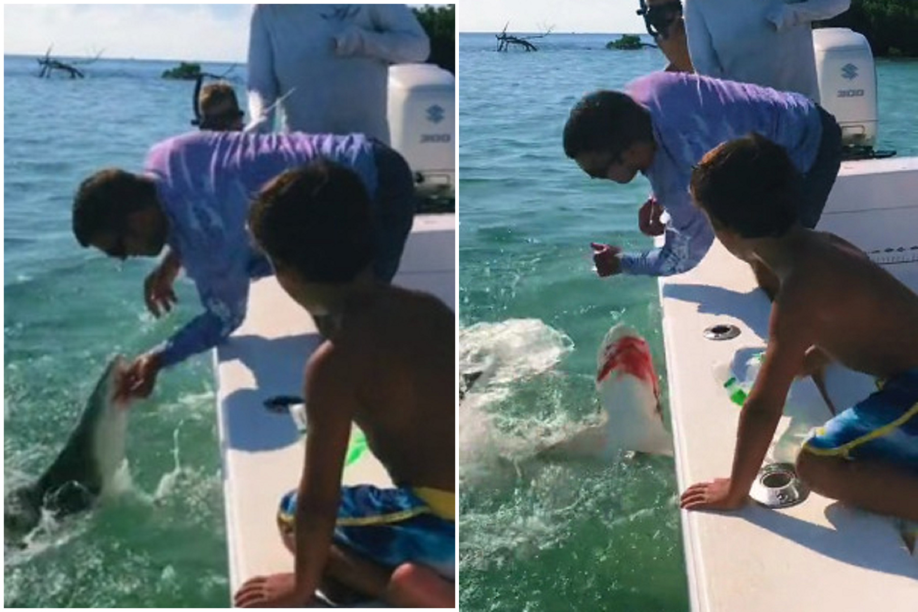 鯊鯊不是布做的！男徒手抓鯊魚反被狠咬斷指，驚悚濺血影片曝光。（翻自《太陽報》）