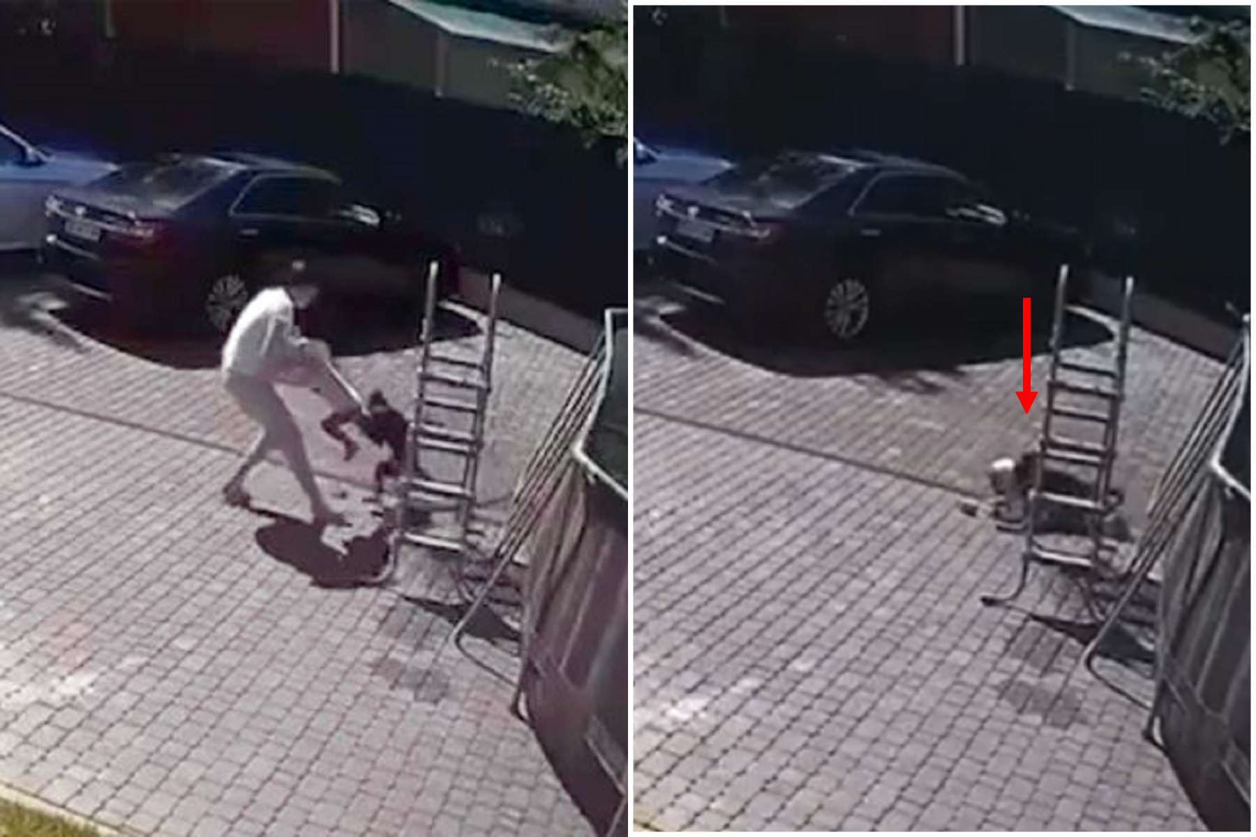 2歲女童遭潑猴硬上攻擊，滿地濺血重傷！恐怖影片曝光。（翻自《每日星報》）